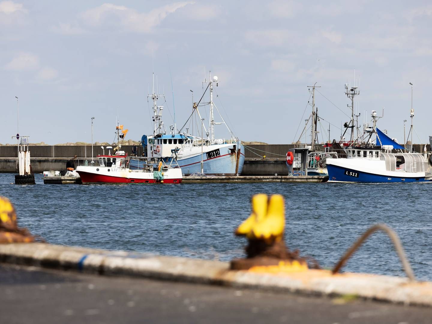 Fiskernes Forsikring henvender sig, som navnet antyder, til aktører i fiskerierhvervet. | Foto: Thomas Borberg/Ritzau Scanpix