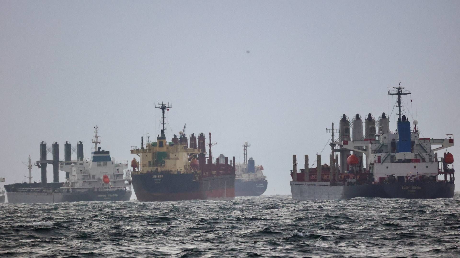 Tørlastskibe venter på at blive inspiceret i Tyrkiet efter at være sejlet fra Ukrainske havne lastet med korn. | Foto: Yoruk Isik/Reuters/Ritzau Scanpix
