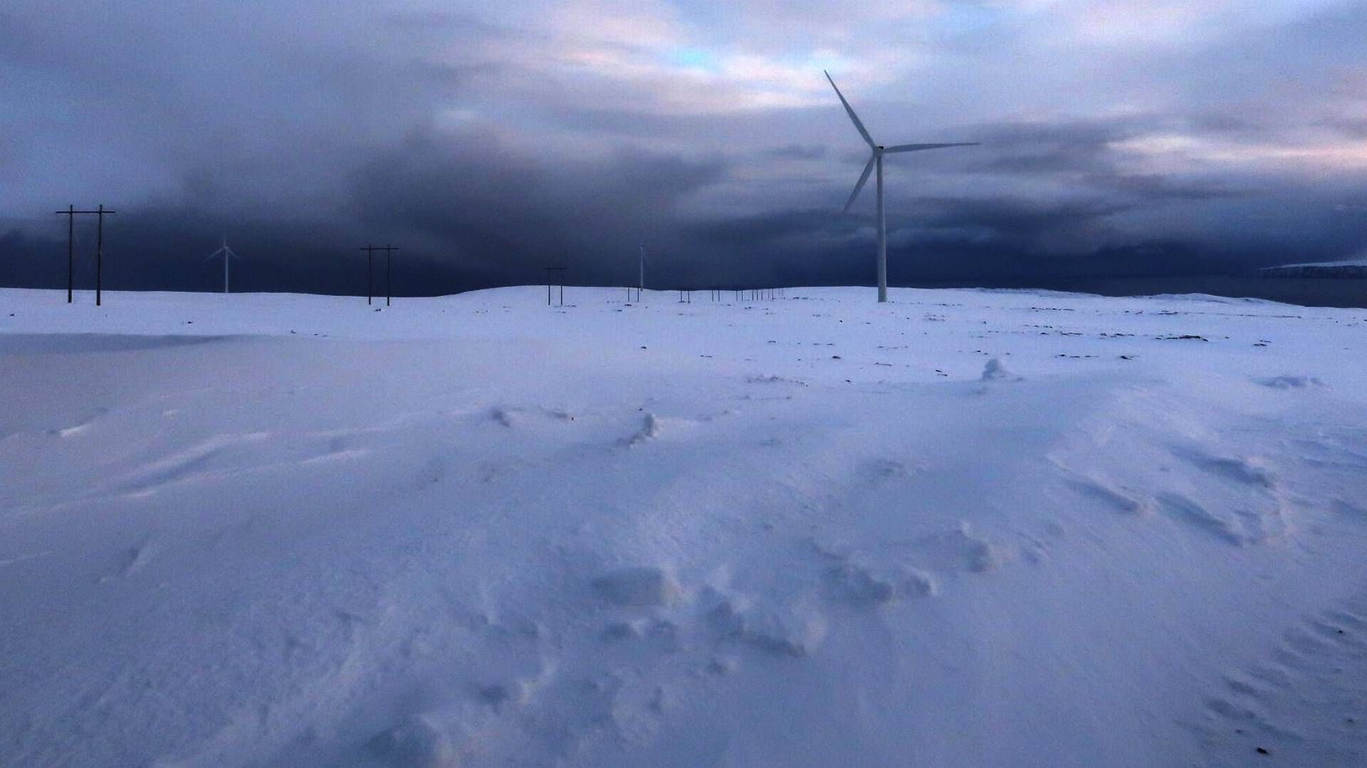 VINDKRAFTPLANER: St1 er på et tidlig stadium med vindkraftplaner i Akkarfjord i Hammerfest kommune. Illustrasjonsfoto. | Foto: Linda Sandvik