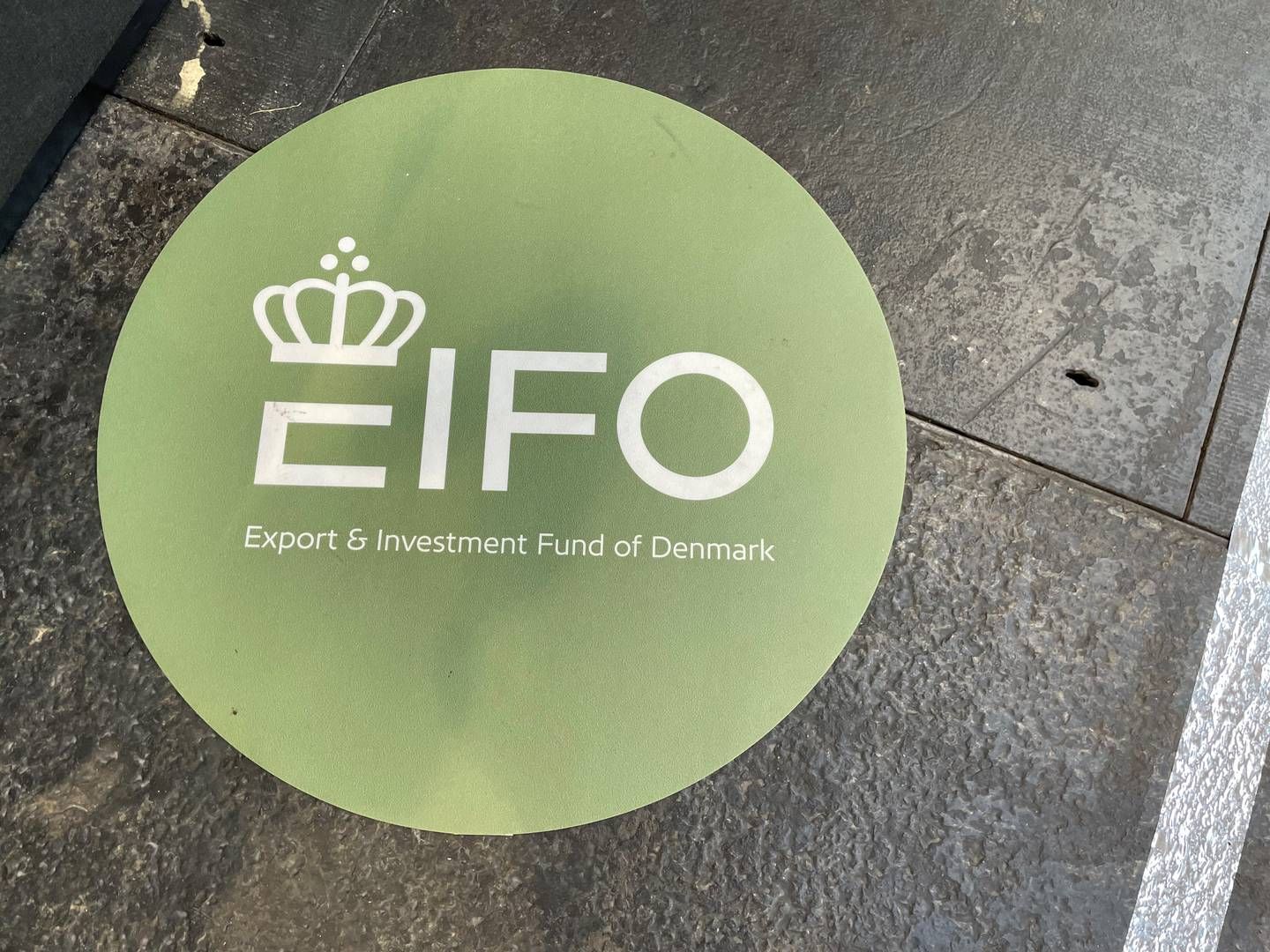 EIFO har fået ny investeringsmedarbejder. | Foto: Nikolaj Harding