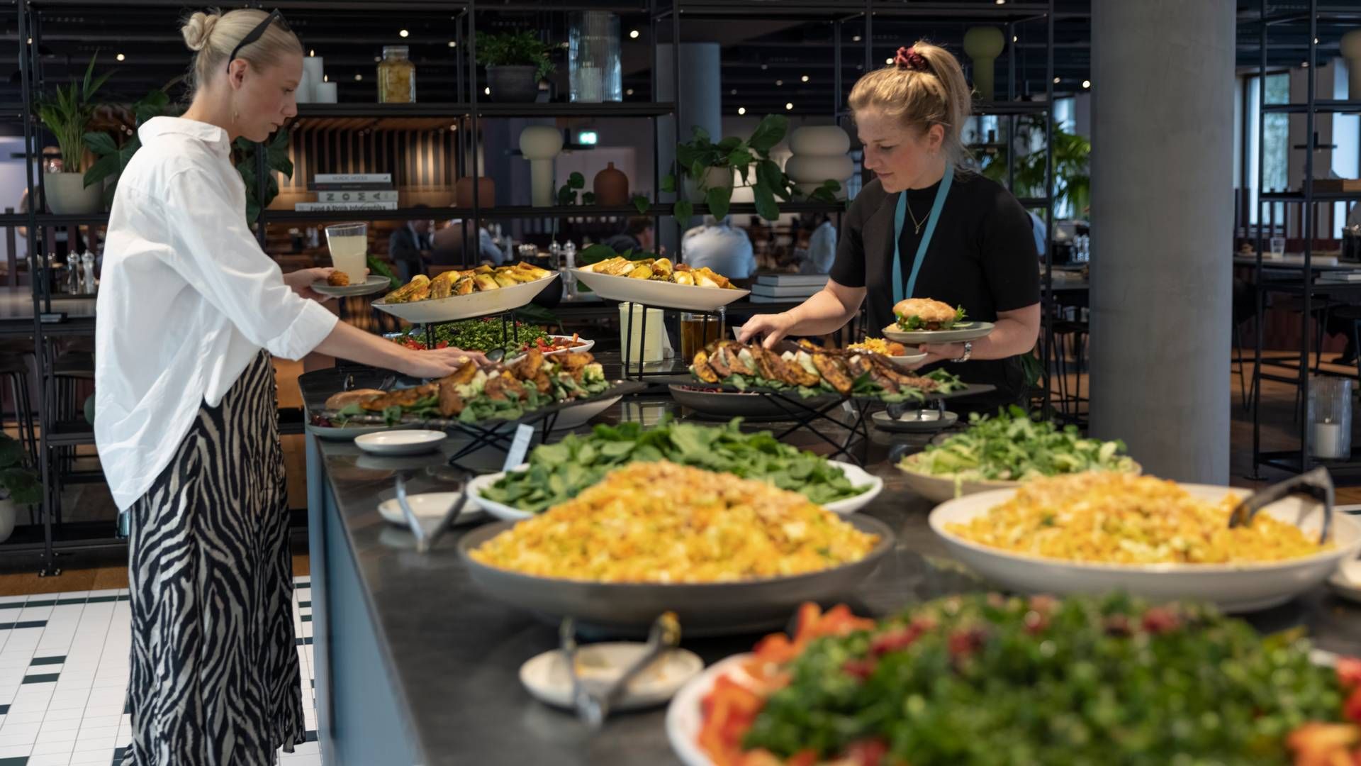 En række tyske cateringsselskaber kommer til Danmark for at lære at blive mere bæredygtige. | Foto: Tilde Døssing Tornbjerg