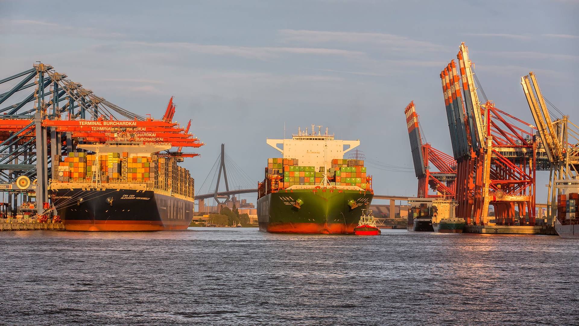 Terminaloperatøren HHLA i Hamborg, som er ejet af byen, har udset sig containerrederiet MSC som strategisk partner. | Foto: Pr / Dietmar Hapenpusch / Port of Hamburg Marketing Association