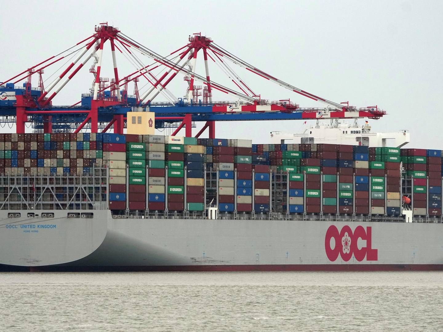 OOCL er ejet af det kinesiske containerrederi Cosco Shipping Holdings. | Foto: Michael Sohn/AP/Ritzau Scanpix