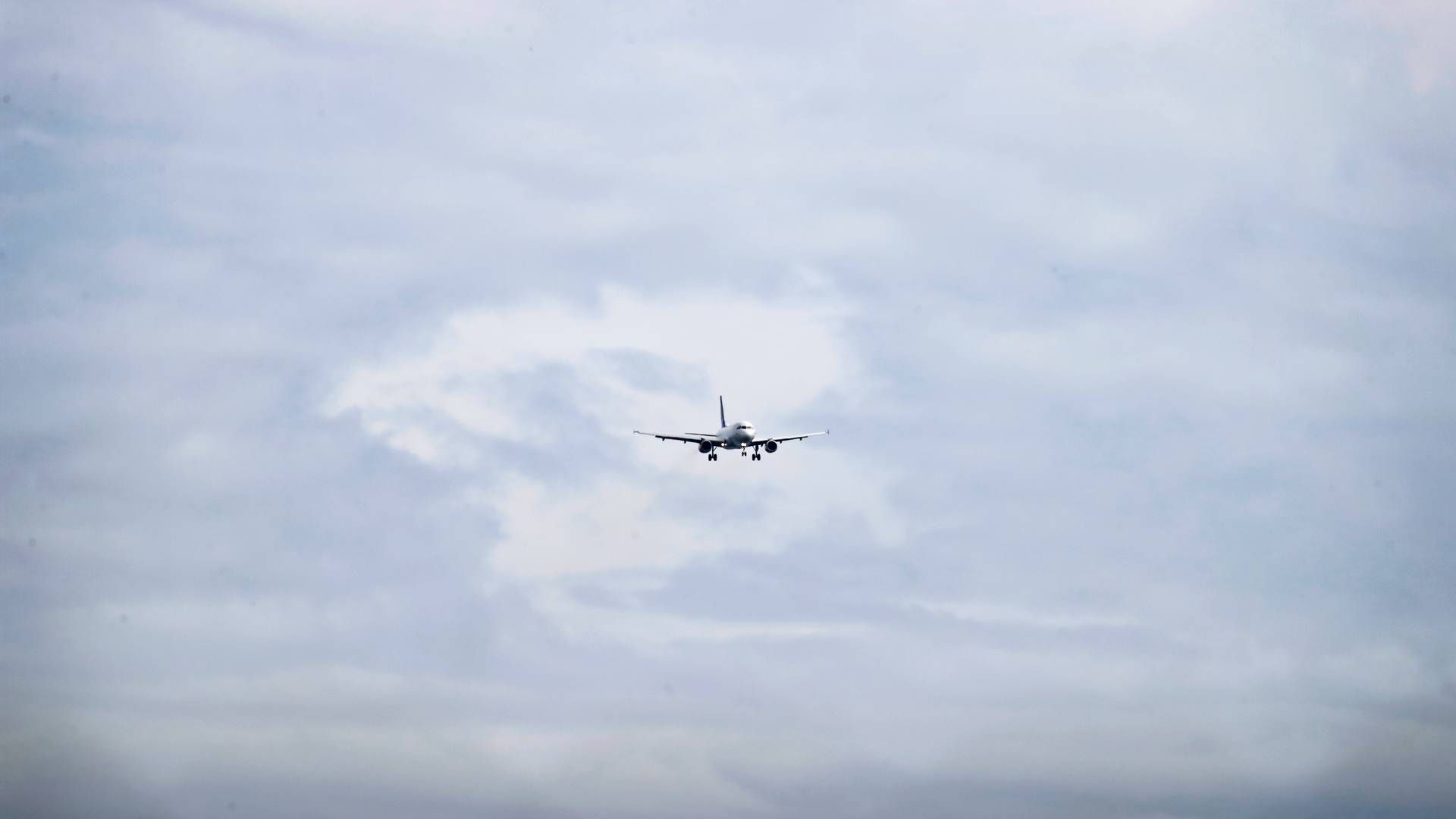 Blandt respondenterne i ny Rambøll-undersøgelse er SAS, der har ambitioner om at bruge grønne brændstoffer på selskabets fly | Foto: Jens Dresling/Ritzau Scanpix