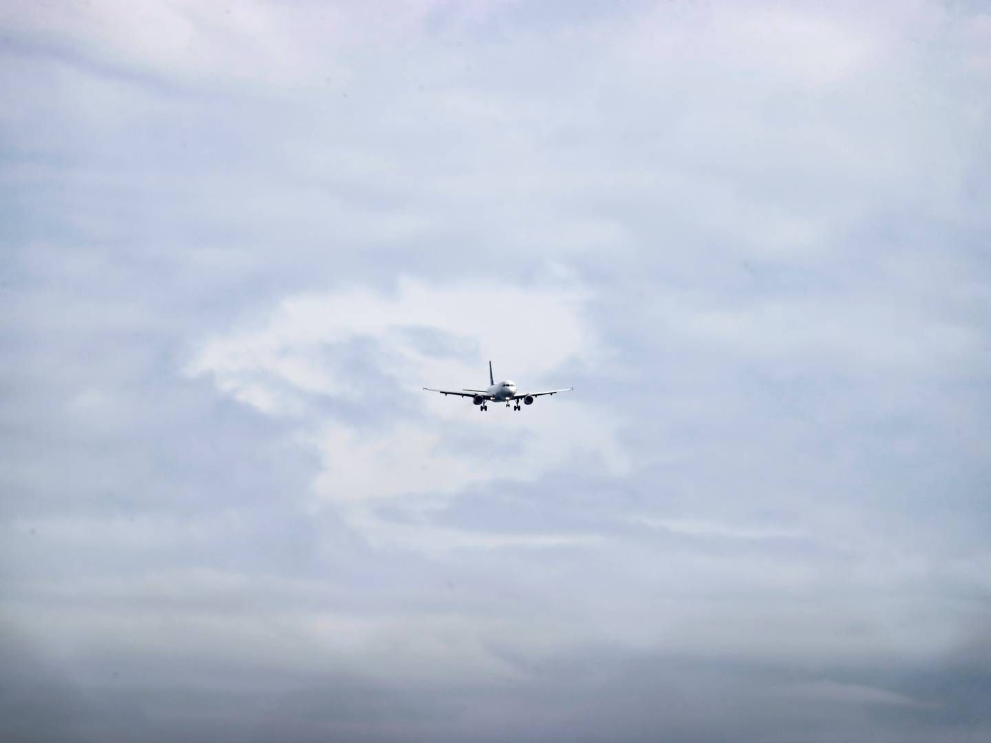 Blandt respondenterne i ny Rambøll-undersøgelse er SAS, der har ambitioner om at bruge grønne brændstoffer på selskabets fly | Foto: Jens Dresling/Ritzau Scanpix