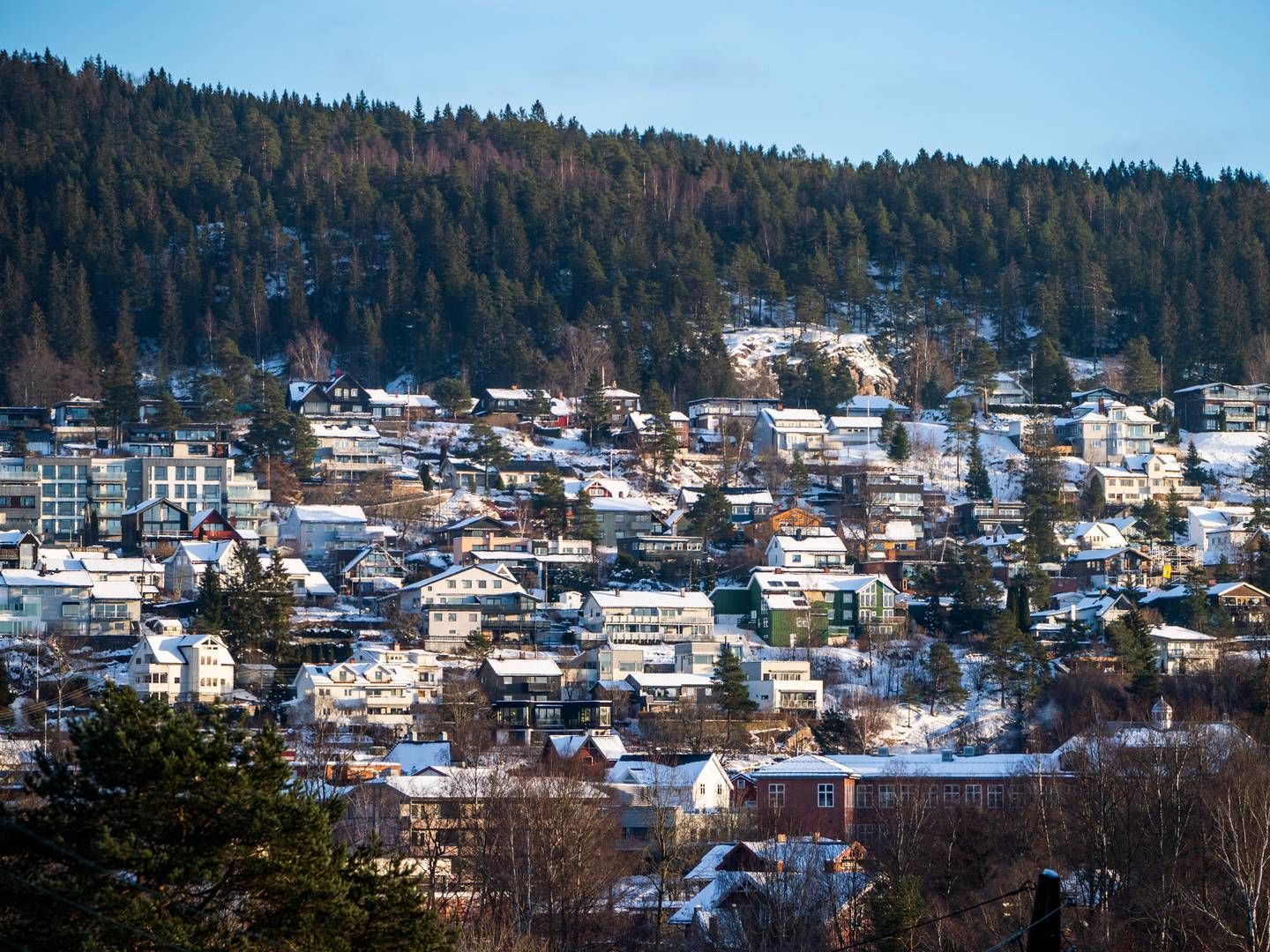 Foto: Håkon Mosvold Larsen / NTB