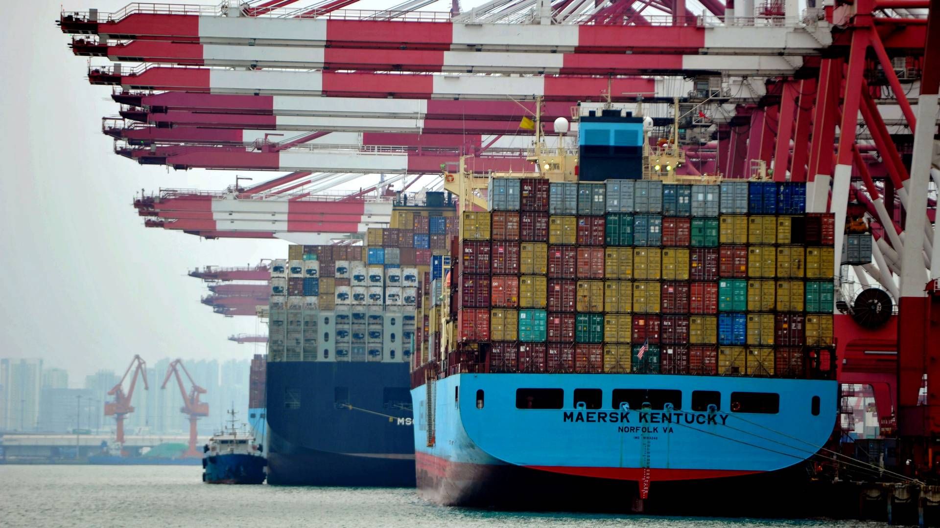 Verdens regeringer må reagere med konkrete politiske tiltag, der for alvor kan fremskynde shippings grønne omstilling, mener ISC og WSC. | Foto: Yu fangping