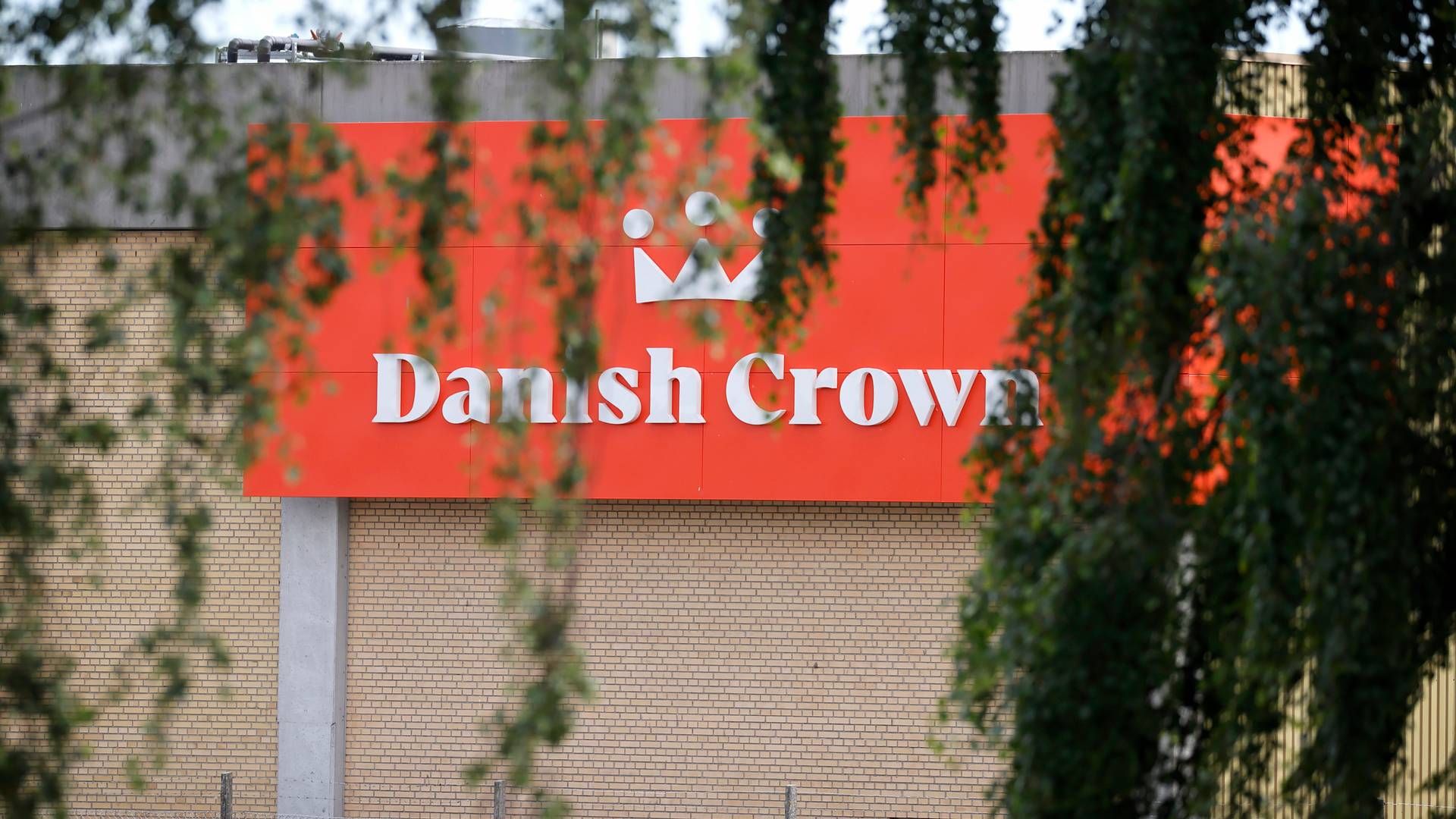 Fire andelshavere forlader Danish Crown. | Foto: Jens Dresling