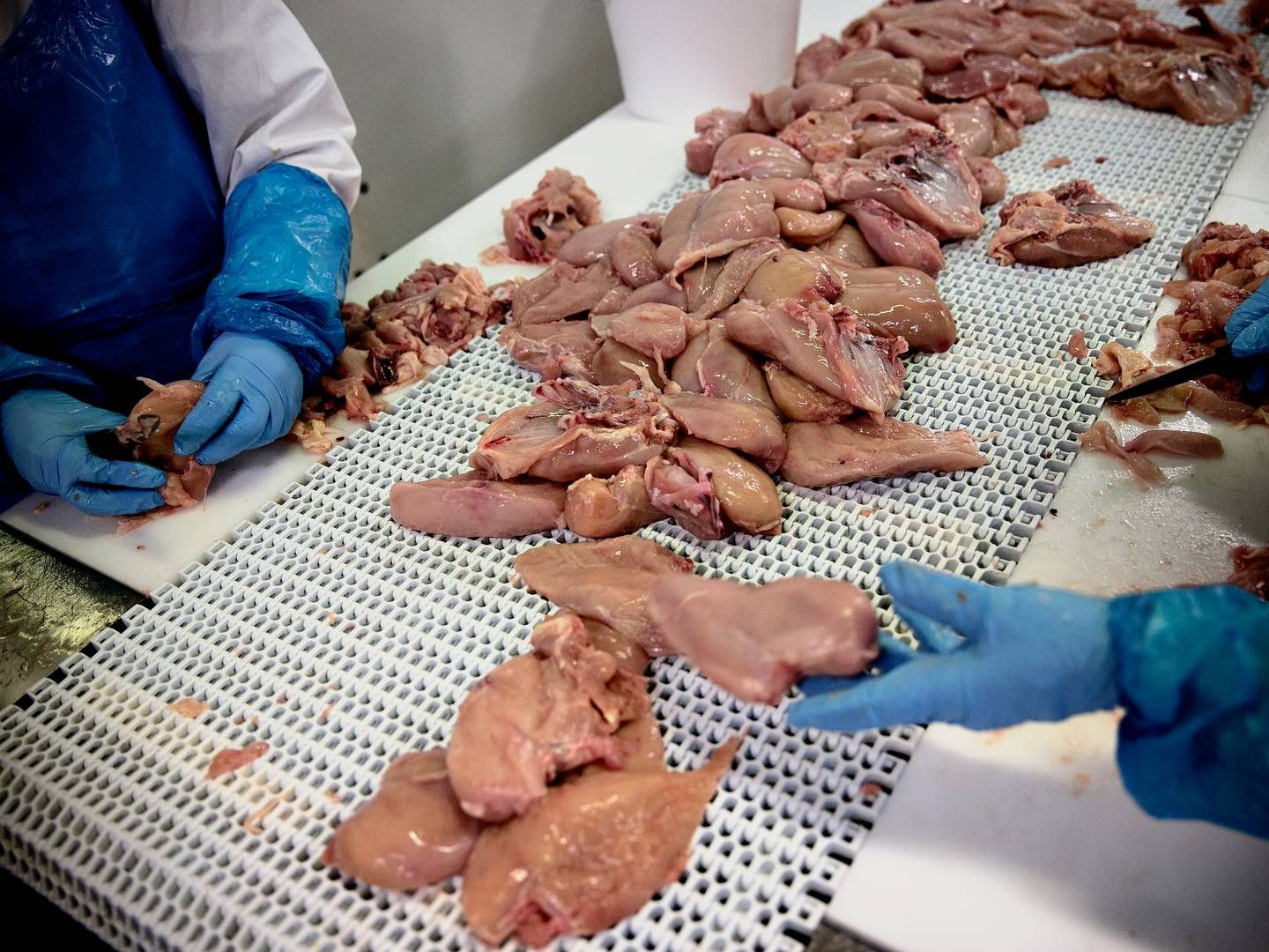 Svenske Scandi Standard sigter efter at hente en årlig organisk vækst på mellem 5-7 pct. | Foto: Joachim Adrian/Ritzau Scanpix.