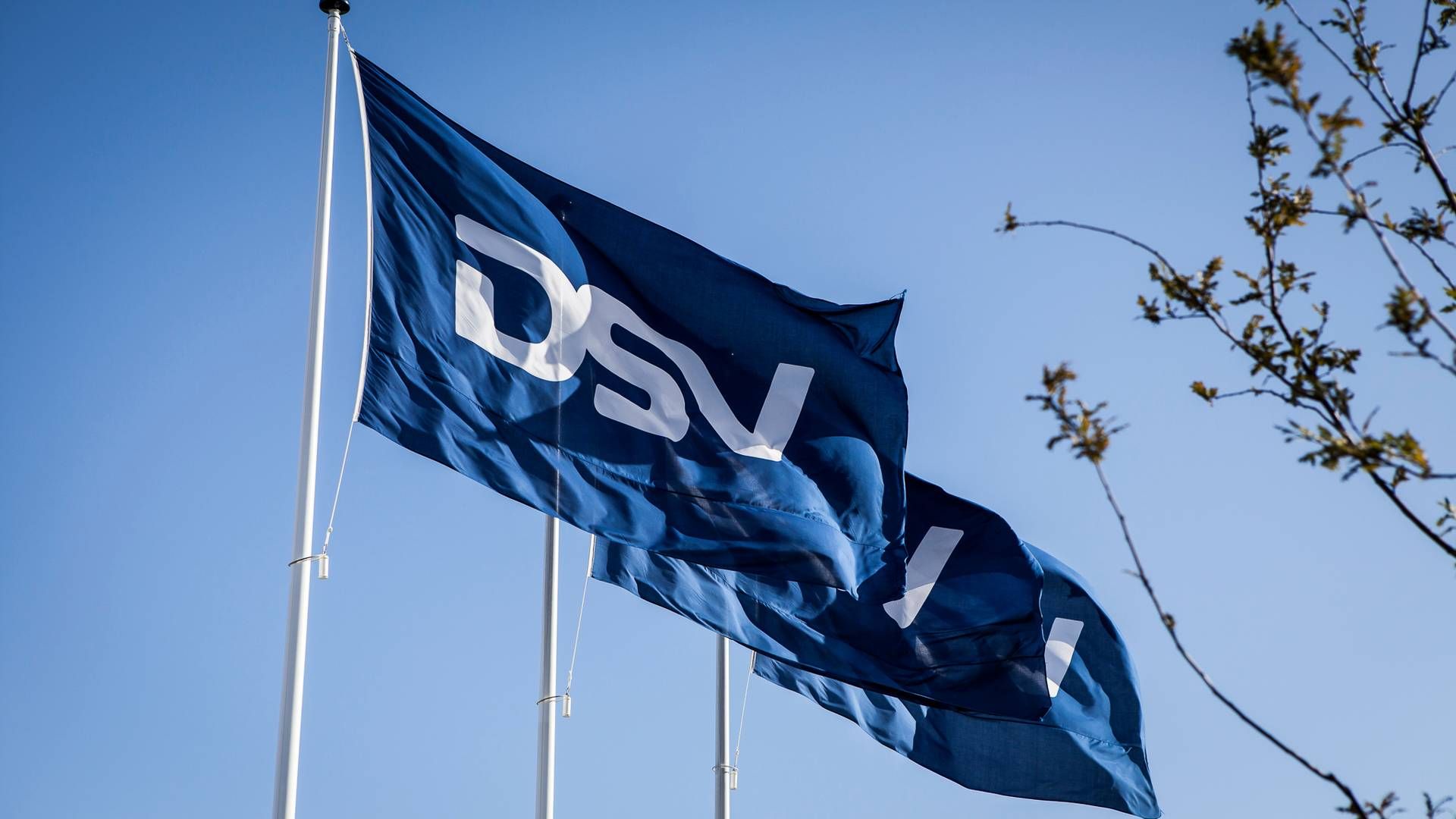 DSV annoncerede det nye joint venture med Neom, da koncerns øverste ledelse fremlagde regnskabet for tredje kvartal i 2023. Men kritikken begyndte hurtigt at hagle ned efter annonceringen. | Foto: Dsv