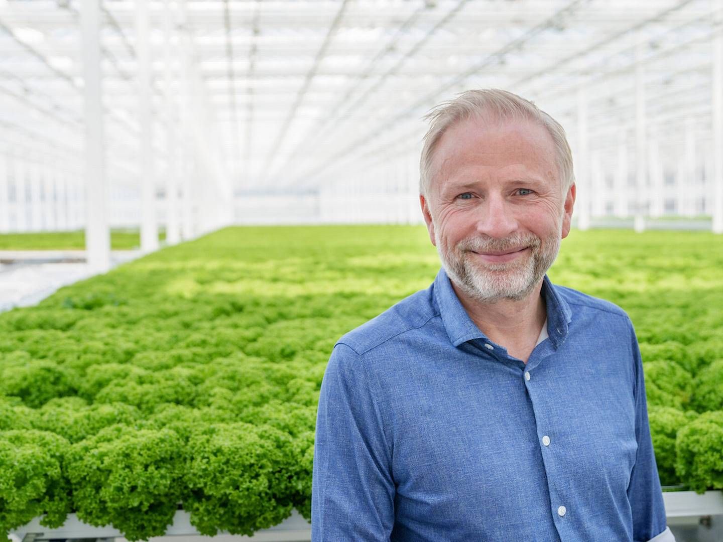 Ejer og adm. direktør Mads Pedersen fra gartnerikoncernen Nordic Greens har store forventninger til satsningen på en ny salatfabrik, der skal åbne helt nye markedsdøre. | Foto: Pr / Nordic Greens