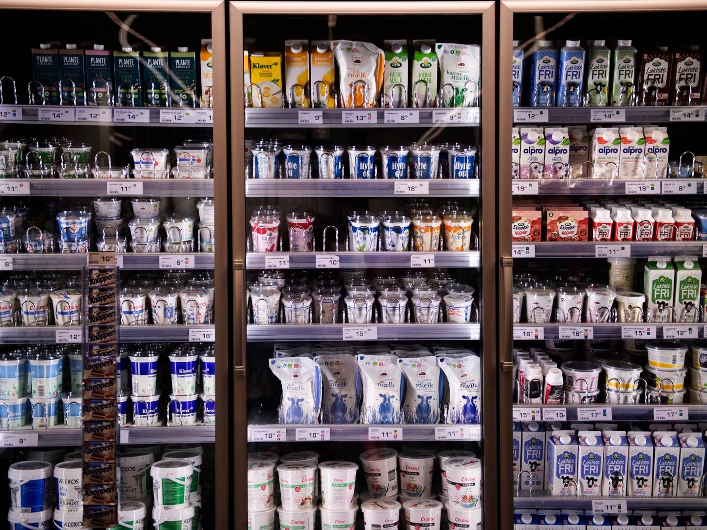 Nu stiger mælkepriserne for første gang i 13 måneder. | Foto: Annika Byrde