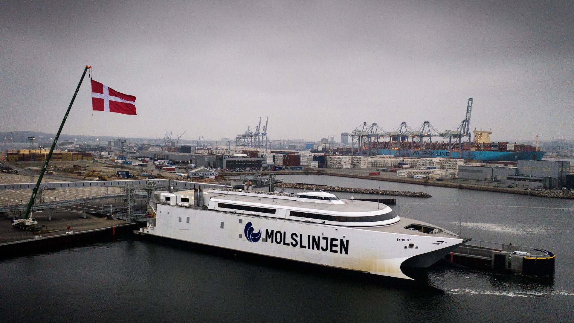 Molslinjens hurtigfærger kommer med en betydelig CO2-udledning. Fra næste år bliver den afgiftsbelagt, derfor har rederiet travlt med den grønne omstilling. | Foto: Casper Dalhoff/Ritzau Scanpix