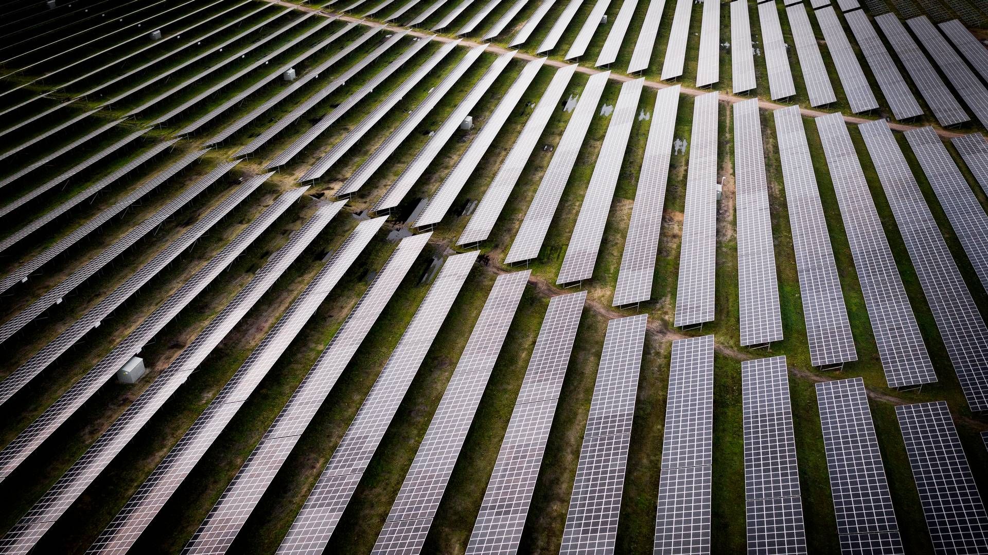 Den nye CIP-fond vil bl.a. fokusere på solenergi. | Foto: Casper Dalhoff/Ritzau Scanpix