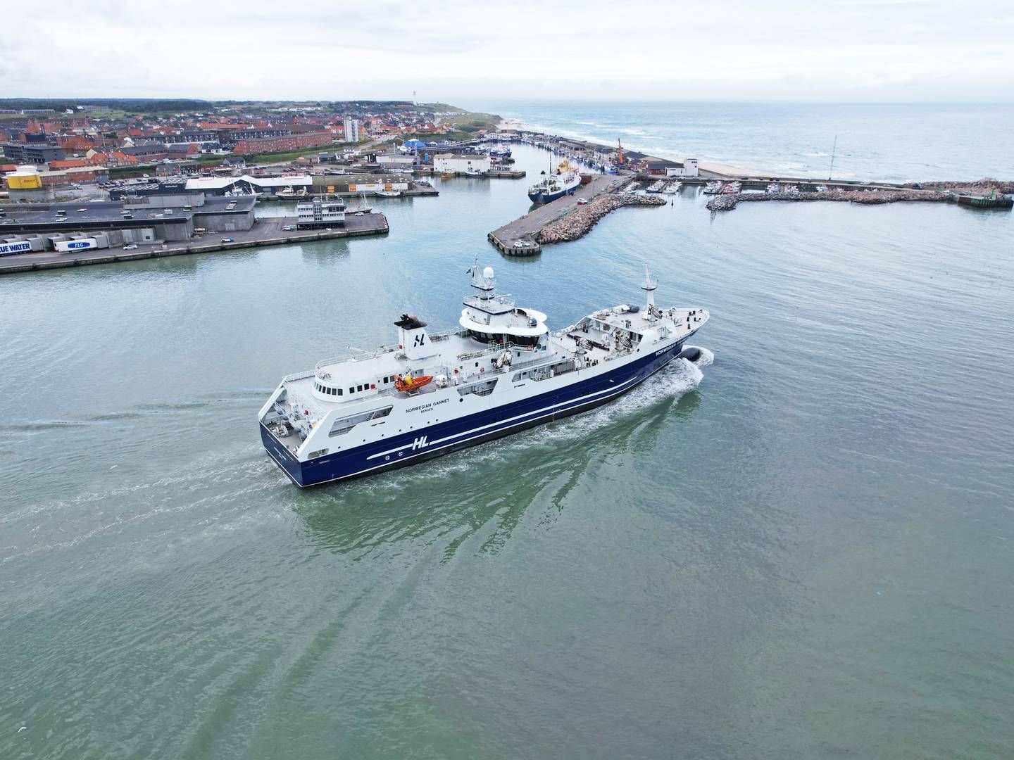 Det norske slagteskib Norwegian Gannett er et af verdens største af sin slags og leverer masser af laks fra de norske opdrætsanlæg til Hirtshals Havn. | Foto: Pr / Hirtshals Havn