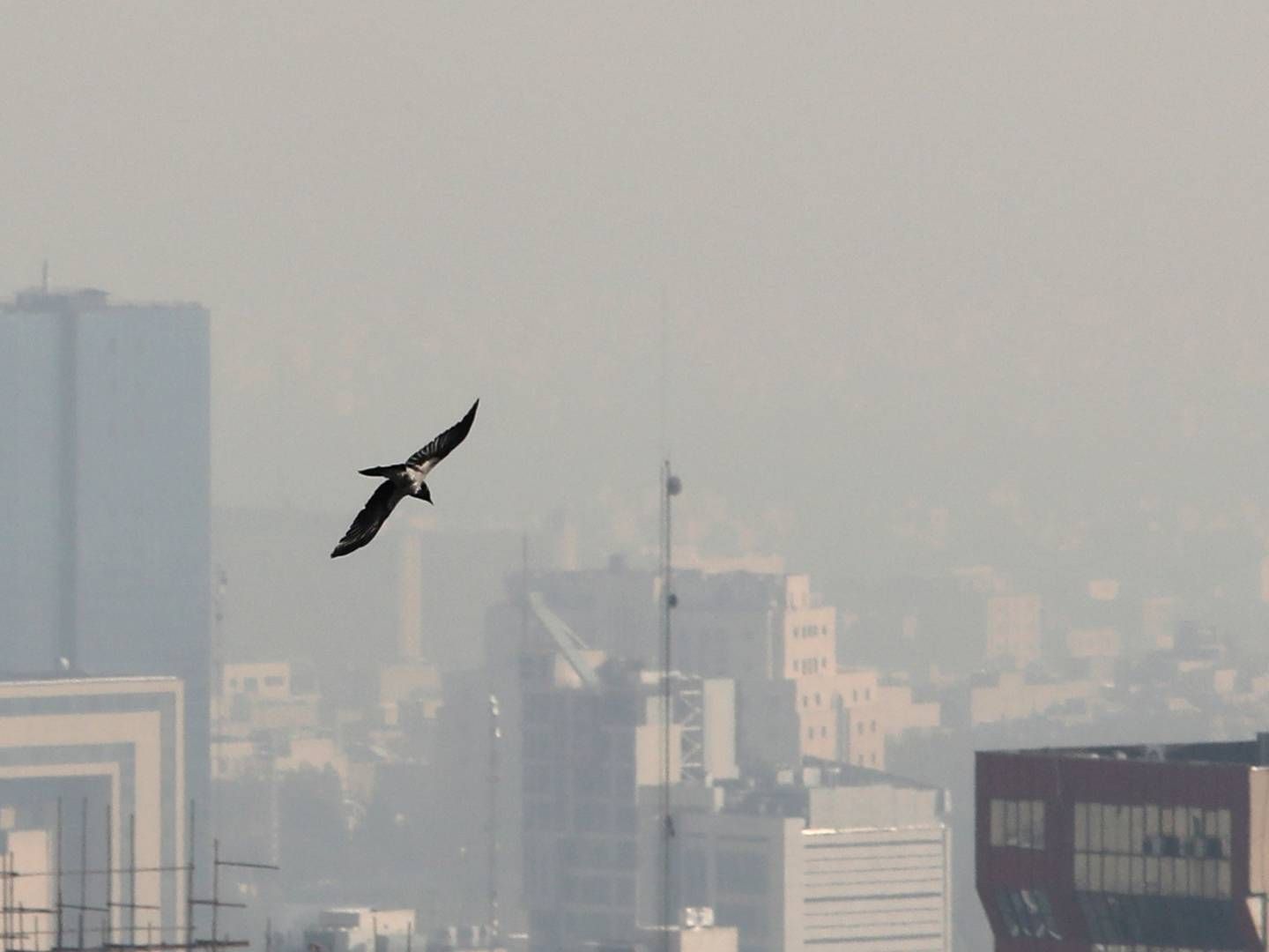 Iran er blandt verdens ti største udledere, men en komplet udfasning af fossile brændstoffer er ikke muligt, siger iransk forening. | Foto: Atta Kenare