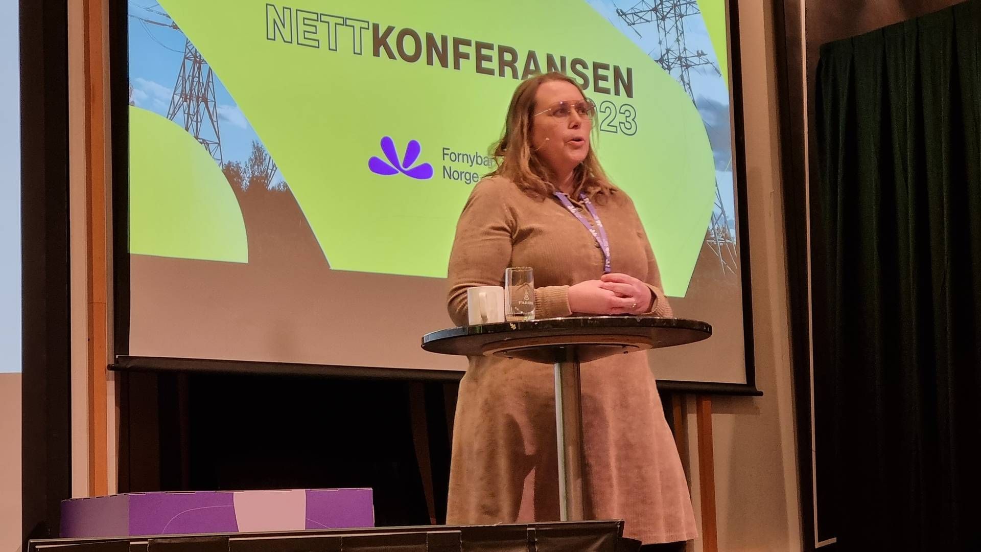 KREVENDE: Under Nettkonferansen i Ålesund presenterte Therese Moe, seksjonssjef nettsentral i BKK, hva man kan lære fra insider-hendelsen tidligere i høst. | Foto: Linda Sandvik/EnergiWatch