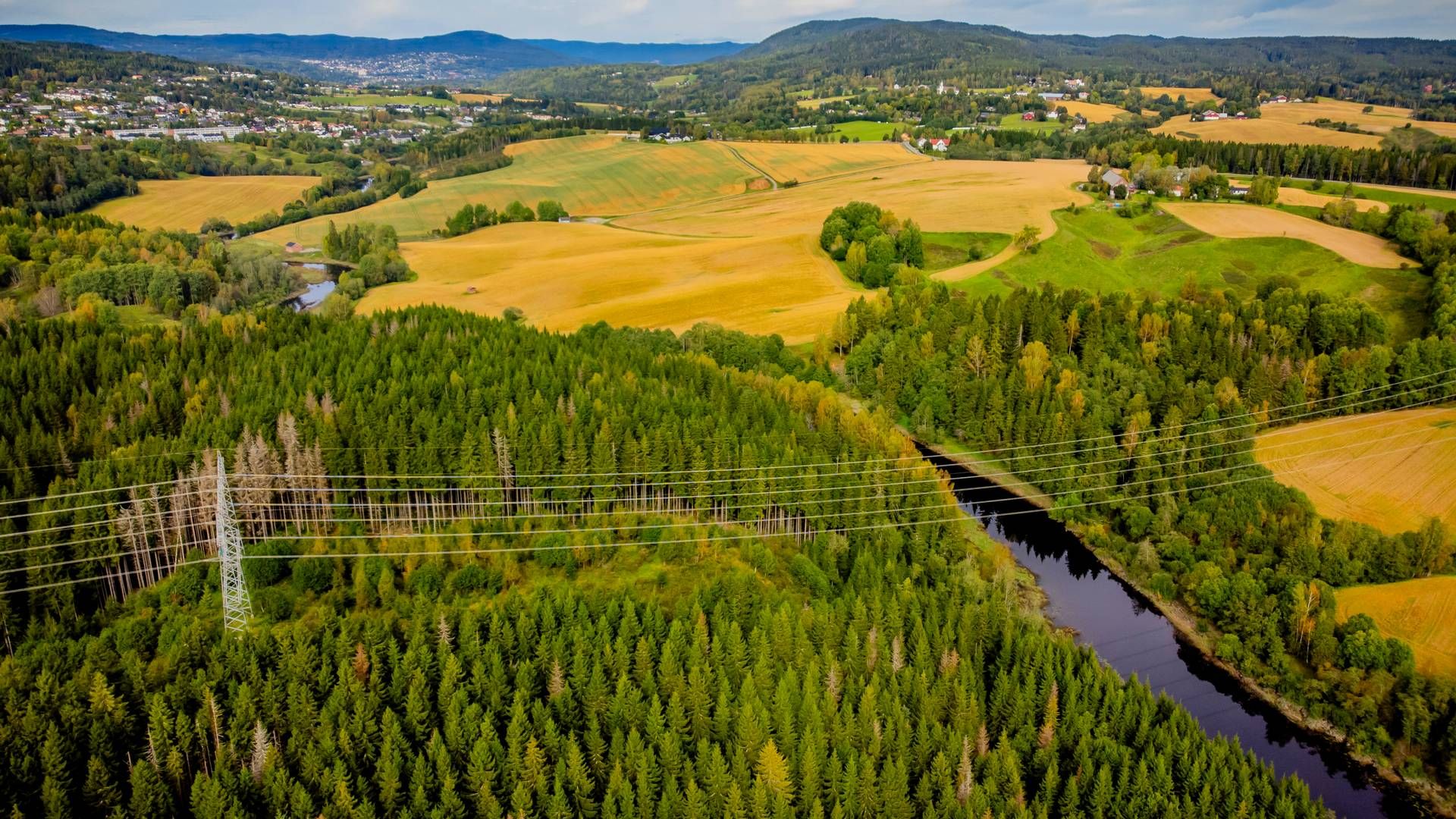 GRØNN KRAFT: Allerede før man legger til fjerde kvartal har det for næringskunder vært flere leverandørbytter i år enn i hele fjor, melder NVE. | Foto: Fredrik Varfjell / NTB