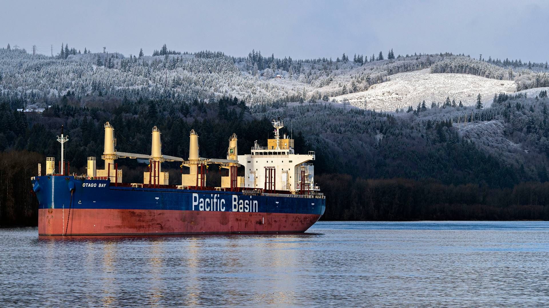 ”This facility strengthens our financial capacity and diversifies our funding profile while reinforcing our commitment to sustainable shipping,” says Martin Fruergaard, CEO of Pacific Basin. | Photo: Courtney Talak/AP/Ritzau Scanpix