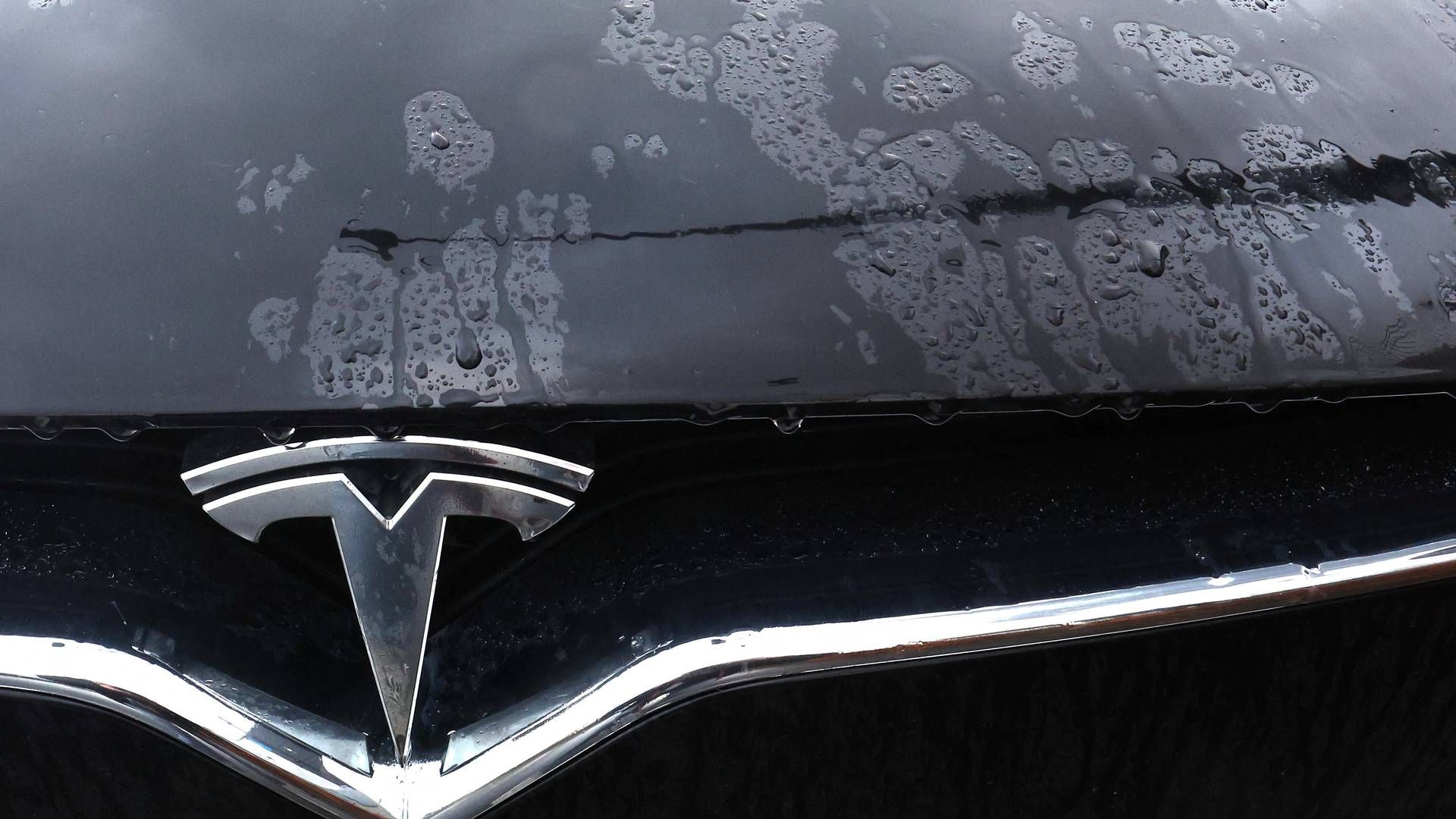 Også Pensiondanmark vil droppet aktier i Tesla | Foto: Yves Herman/Reuters/Ritzau Scanpix