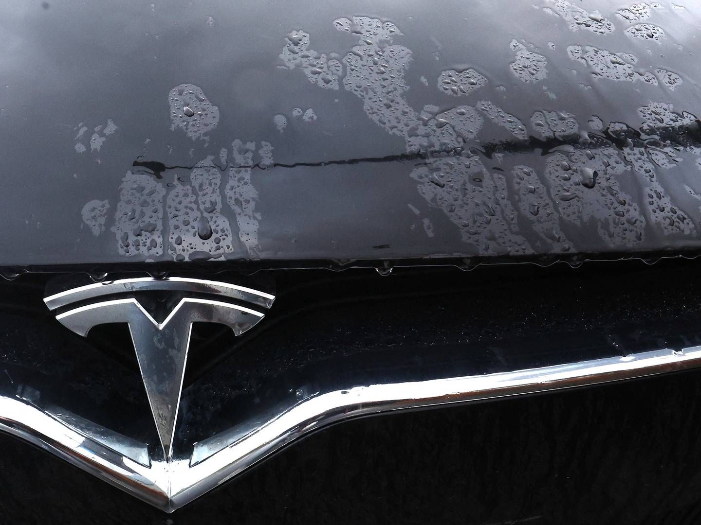 Også Pensiondanmark vil droppet aktier i Tesla | Foto: Yves Herman/Reuters/Ritzau Scanpix