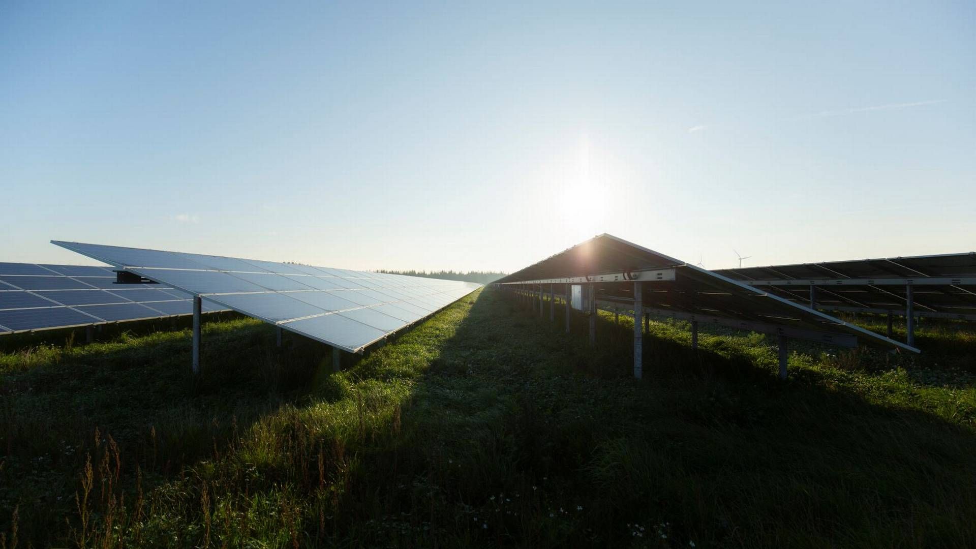 Egmont satte et mål om 100 pct. grøn strøm fra 2022. | Foto: Pr/better Energy