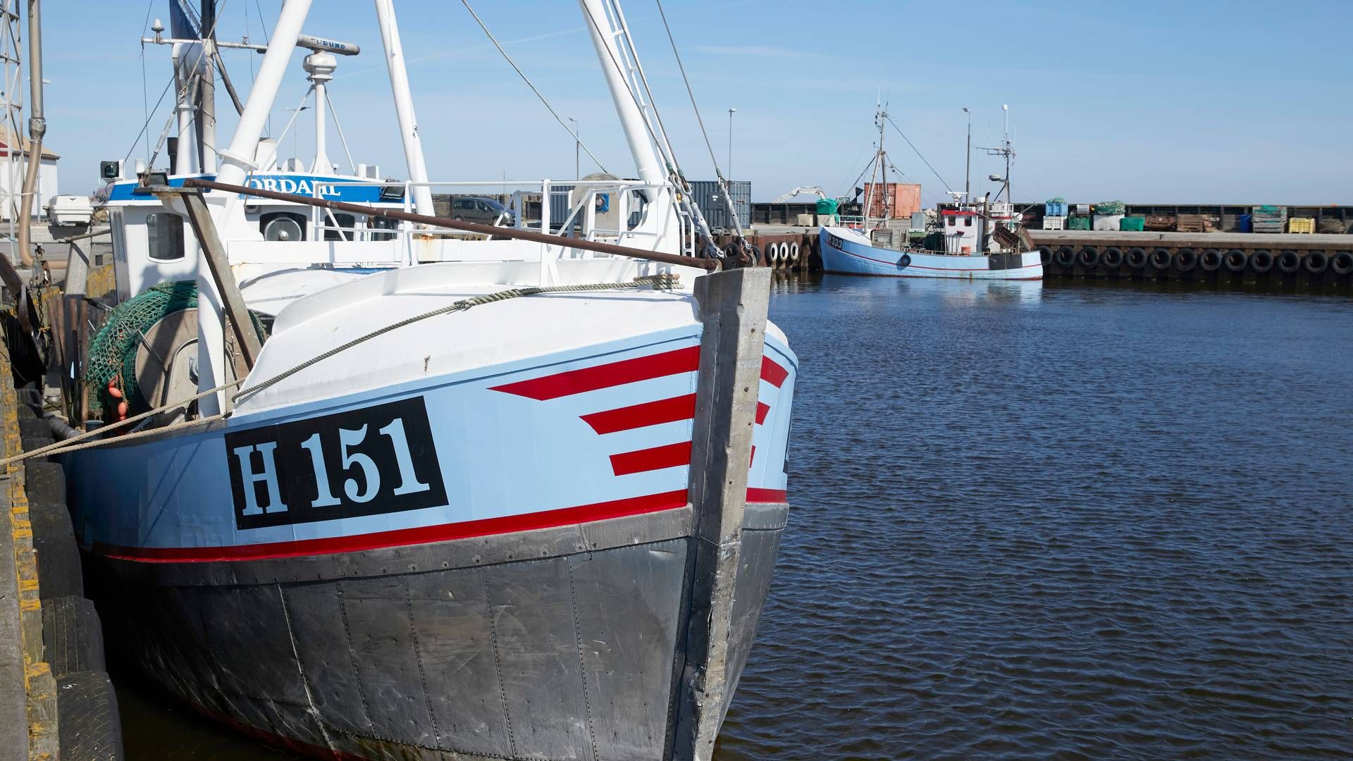 Danske fiskere ser med aftale ud til at kunne fange flere fisk i det kommende år. Det skaber "glæde og optimisme" hos Danmarks Fiskeriforening. | Foto: Jens Dresling