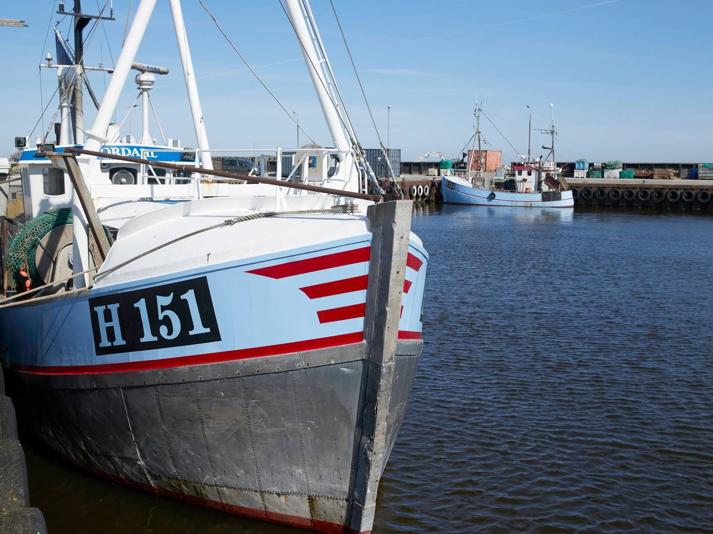 Danske fiskere ser med aftale ud til at kunne fange flere fisk i det kommende år. Det skaber "glæde og optimisme" hos Danmarks Fiskeriforening. | Foto: Jens Dresling