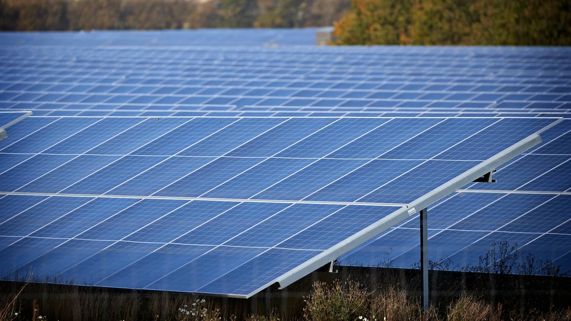 Solceller skal dække halvdelen af Egmonts strømforbrug i Sverige og Norgen. (Arkivbillede) | Foto: Jens Dresling