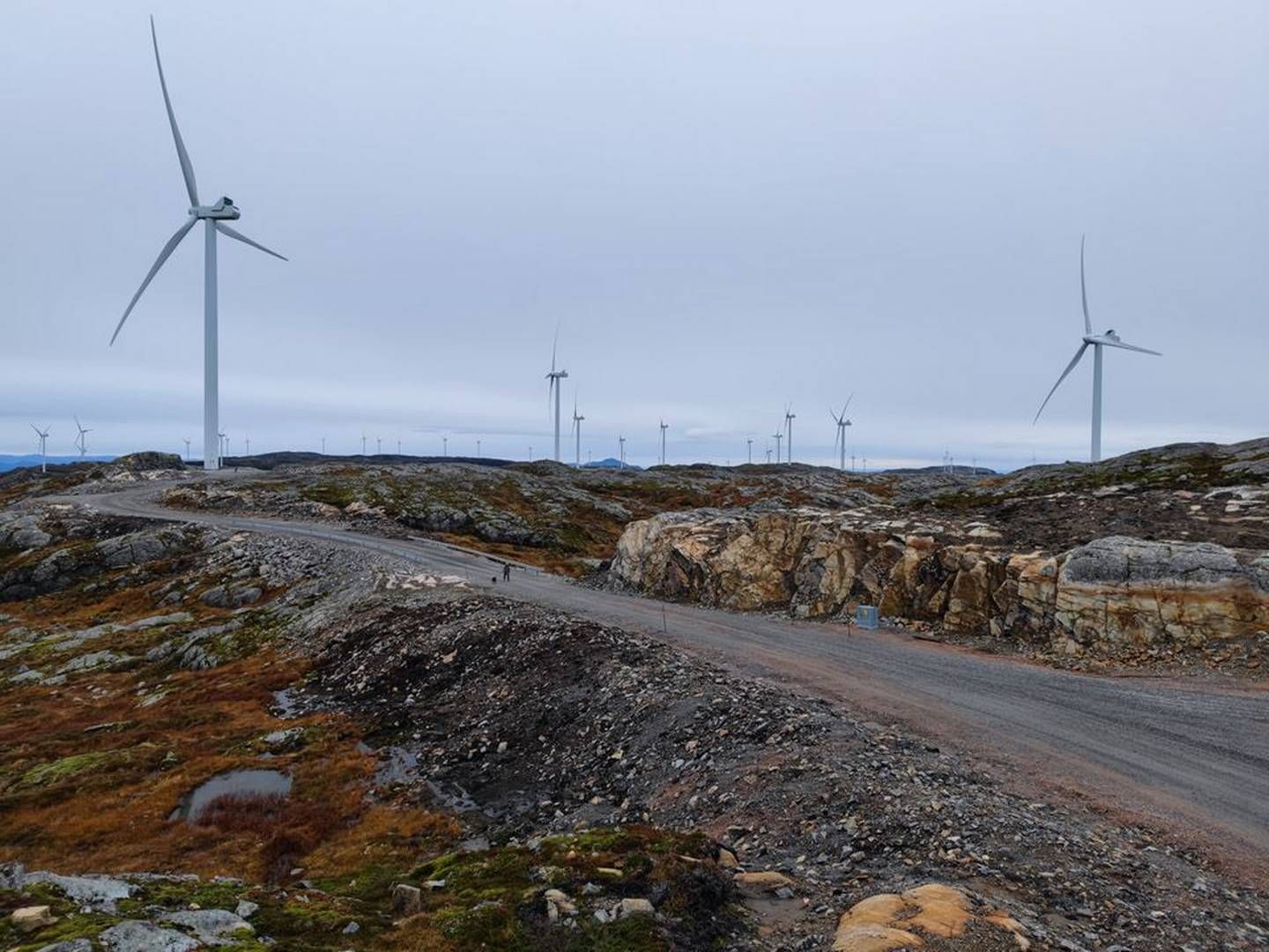 Motvind Norge mener vindkrafteierne på Fosen tjener penger på menneskerettighetsbrudd. | Foto: Eivind Salen, Motvind Norge