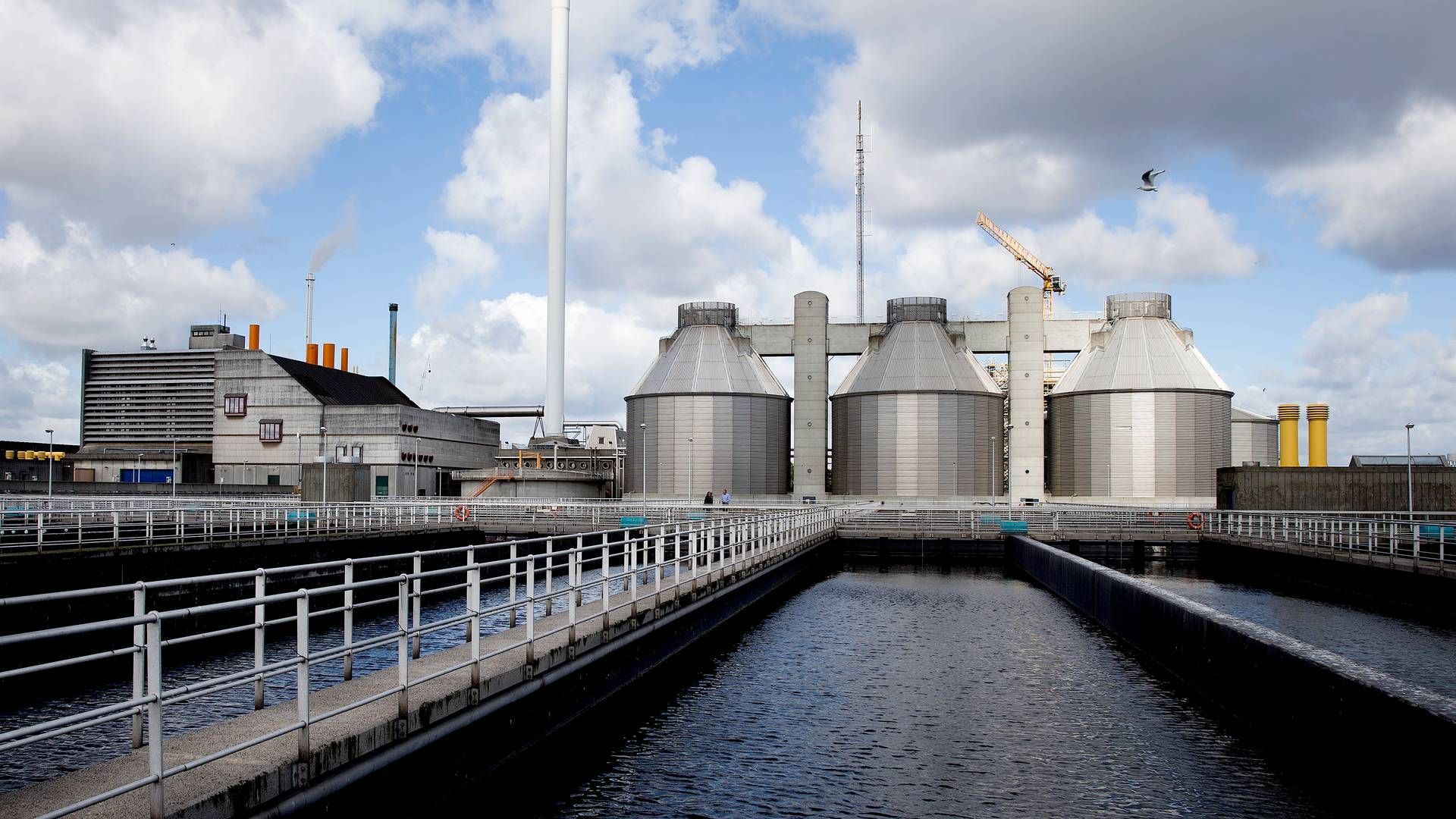 Biofos' rensningsanlæg på Lynetten i København. Danva indledte på vegne af spildevandsselskabet den første klagesag mod Forsyningssekretariatet.