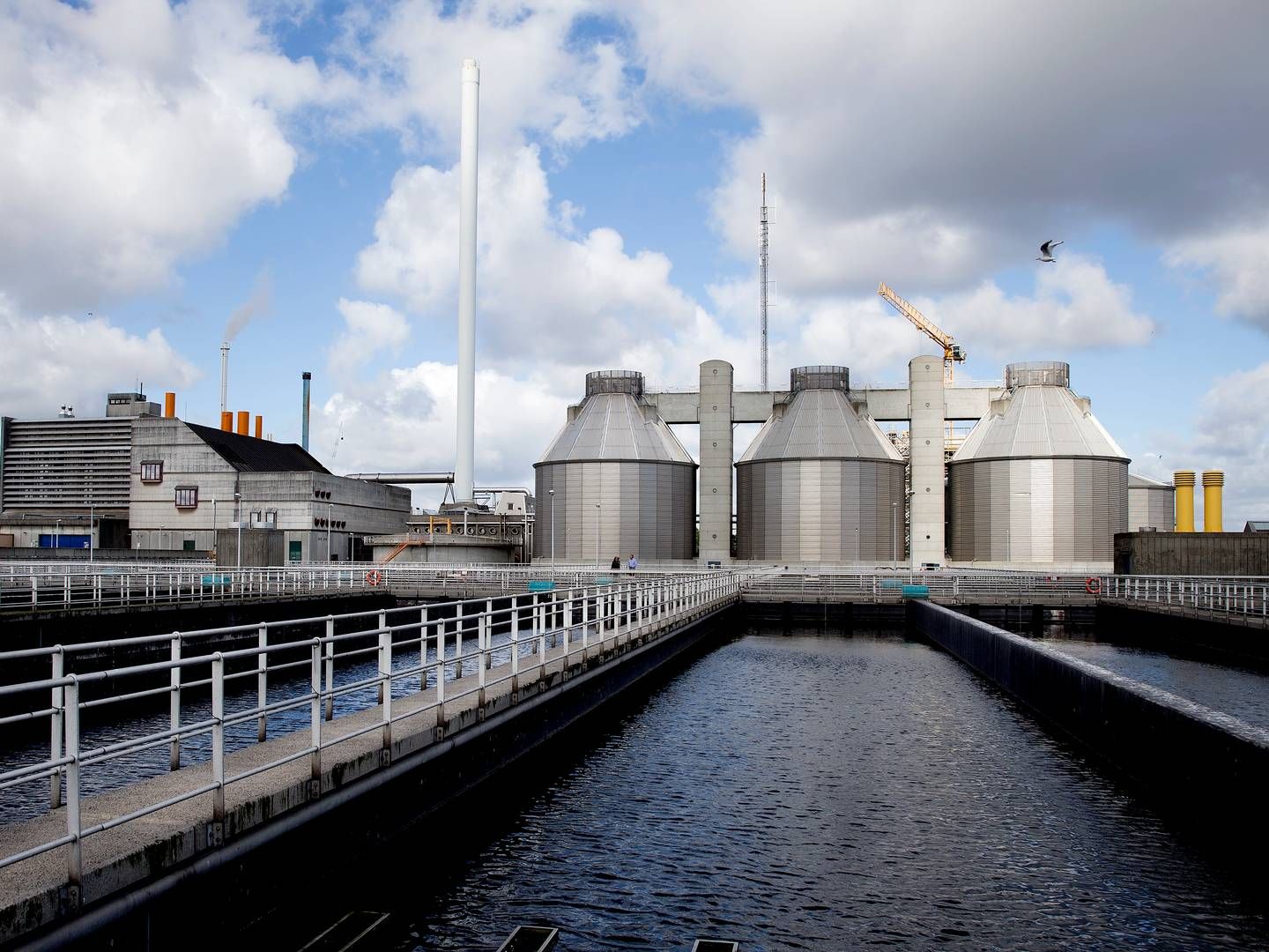 Biofos' rensningsanlæg på Lynetten i København. Danva indledte på vegne af spildevandsselskabet den første klagesag mod Forsyningssekretariatet.