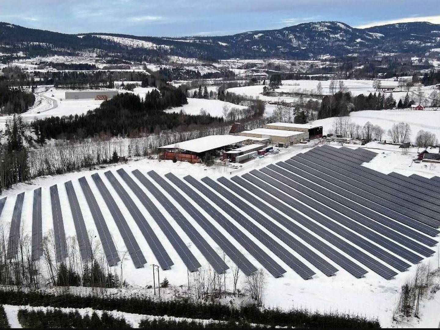 ENDA FLERE PLANER I VESTFOLD: Illustrasjonsfoto av bakkemontert solkraft. | Foto: Greenstat