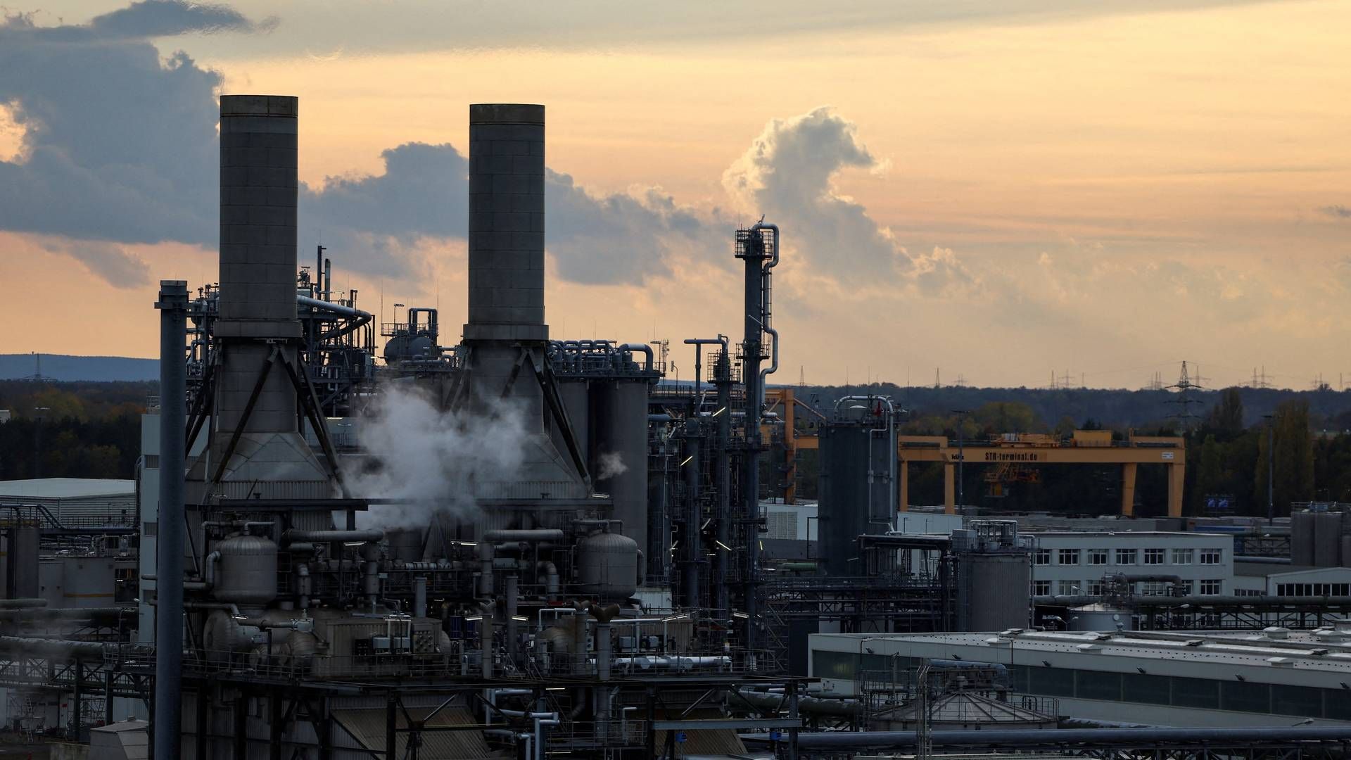 BASF's fabrik i tyske Schwarzheide. Arkivfoto. | Foto: Lisi Niesner/Reuters/Ritzau Scanpix