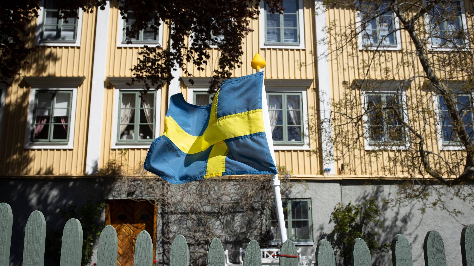 I september satte den svenske krone bundrekord, men nu er valutaen igen på vej op. | Foto: Miriam Dalsgaard