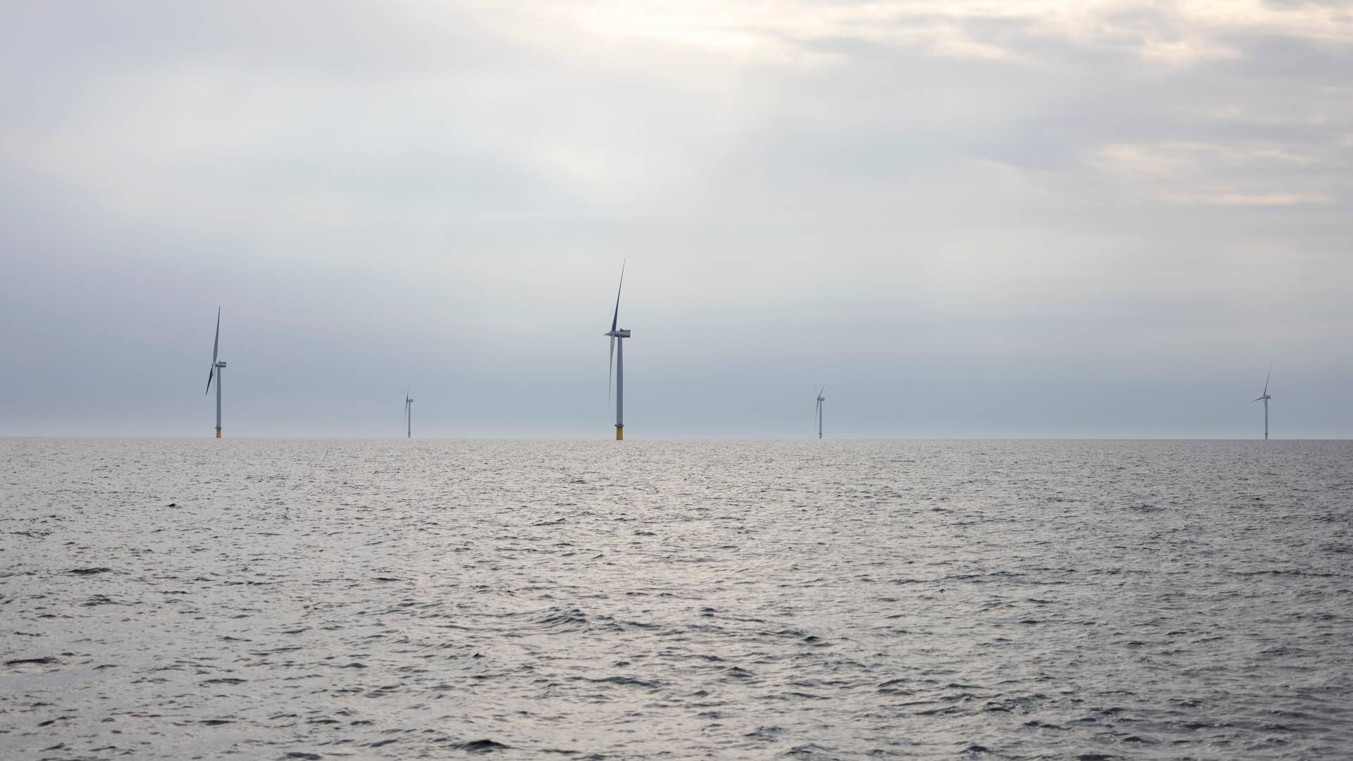 Seagreen har været i fuld drift siden oktober 2023 og består af 114 vindmøller. | Foto: Marcus Emil Christensen