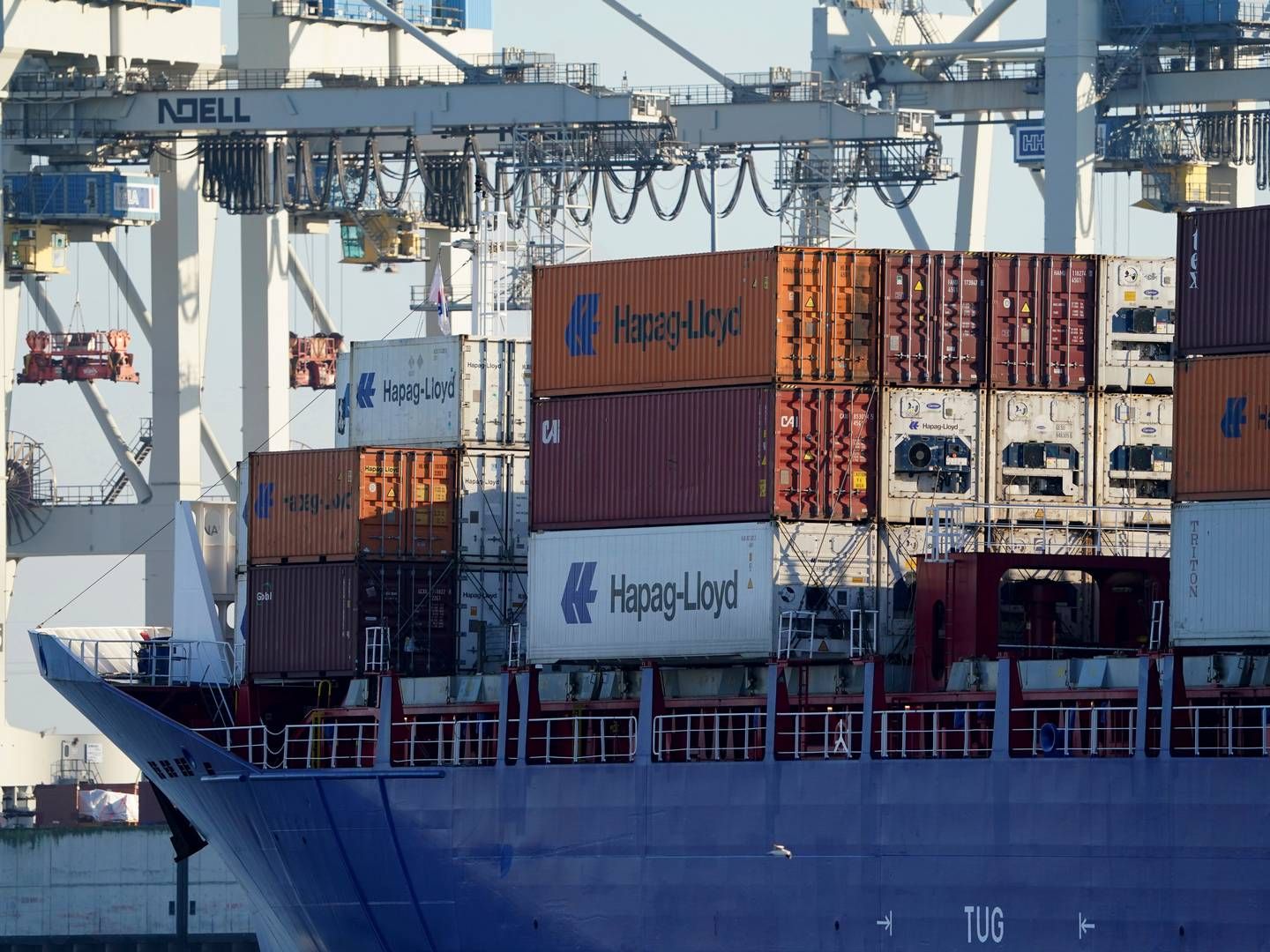 Shippingorganisationen Bimco forventer, at den globale containerflåde vil vokse med yderligere 18 pct. over de næste par år. | Foto: Marcus Brandt/AP/Ritzau Scanpix