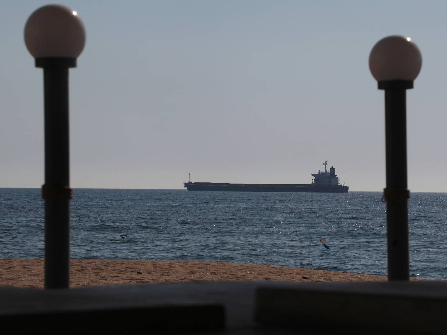 Stock photo. The ship in the picture is not operated by Western Bulk. | Photo: Nina Lyashonok/AP/Ritzau Scanpix