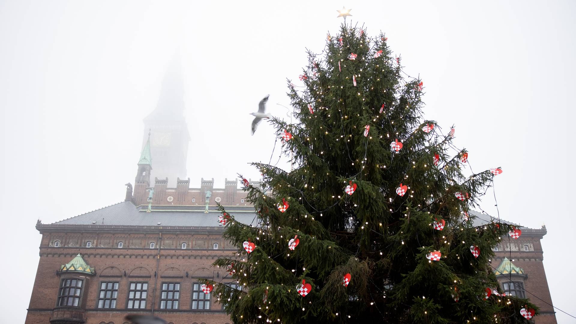 FinansWatch ønsker alle læsere en glædelig jul og et godt nytår. | Foto: Thomas Borberg