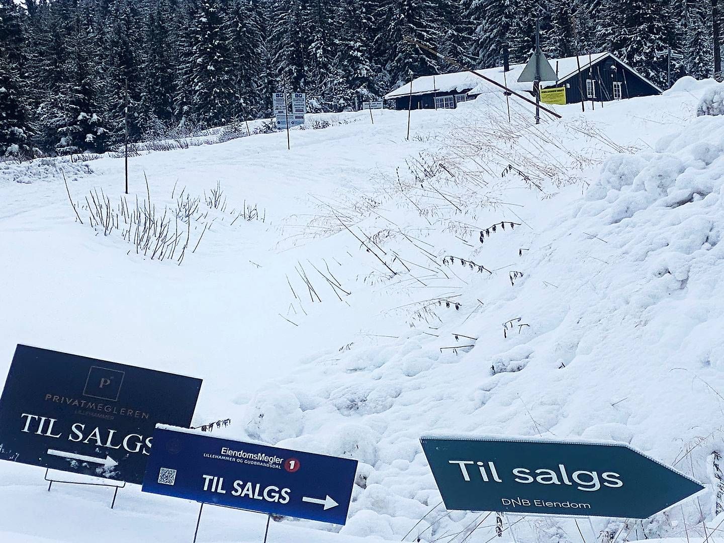 GUNSTIG: «Kronekursen gjør det jo veldig gunstig for utlendingene nå», sier Petter Birkrem i Privatmegleren. | Foto: Geir Olsen / NTB