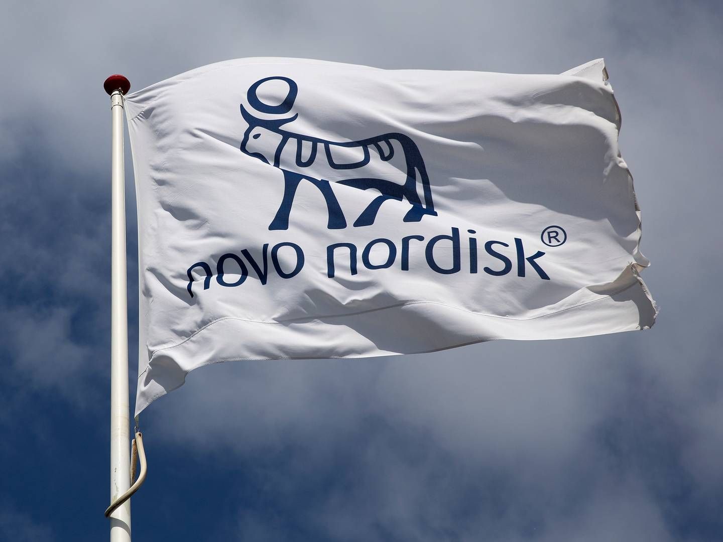 NYE BEHANDLINGSMETODER: Novo Nordisk skal samarbeide med de to selskapene om ny behandling for kardiometabolske sykdommer. | Foto: Finn Frandsen