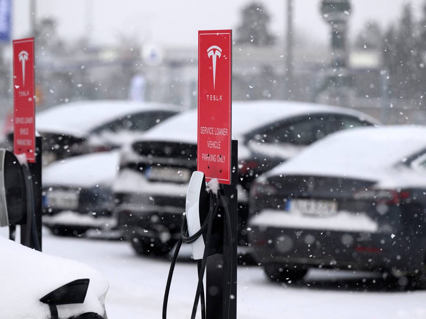 Tesla har i fjerde kvartal leveret 484.507 elbiler, hvilket altså er færre end hvad kinesiske BYD præsterede. | Foto: Jessica Gow/TT/Ritzau Scanpix