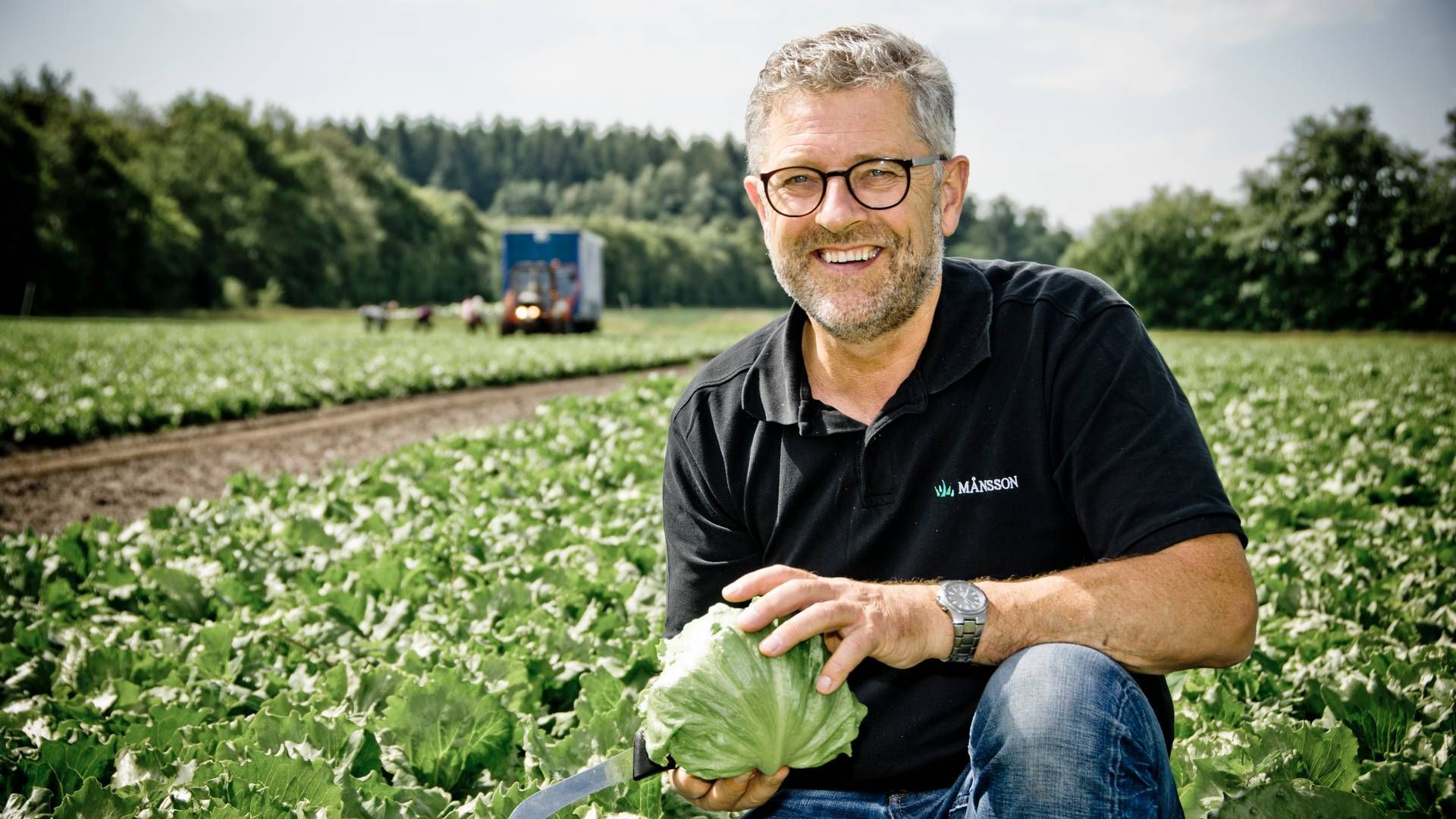 Efter næsten 50 år i spidsen for den familieejede salatproducent træder Axel Månsson nu tilbage. | Foto: Salatproducenten Axel Månsson | Foto: Pr/månssons