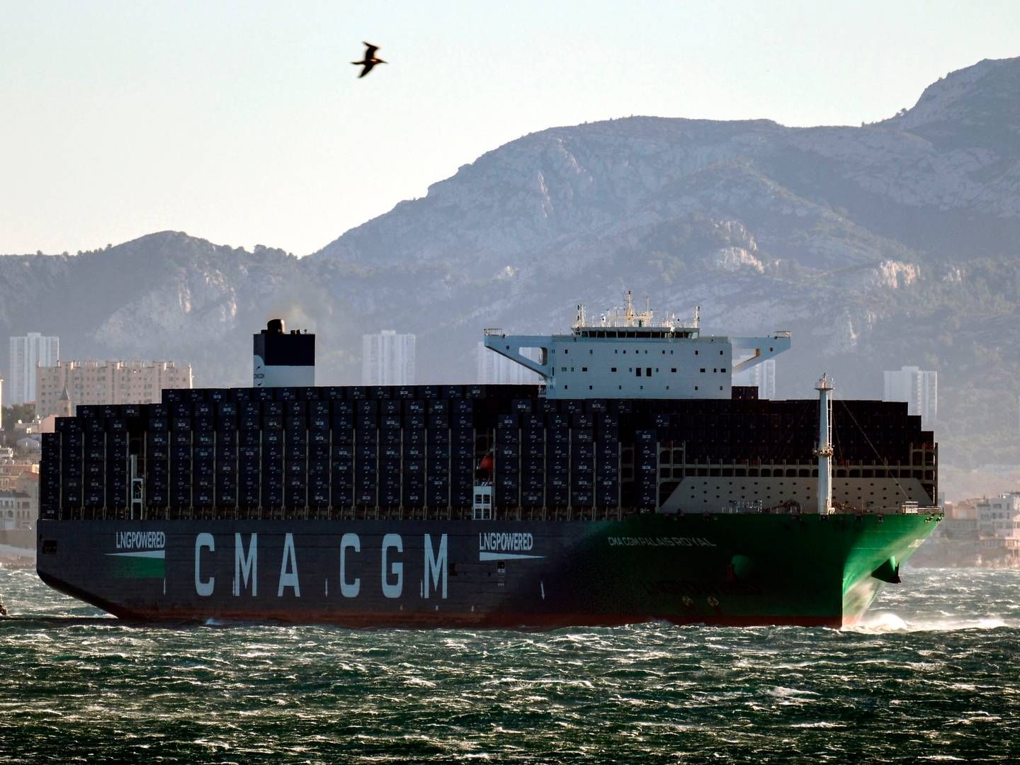 CMA CGM, among others, has recently raised prices for freight between Asia and Europe. | Photo: Christophe Simon/AFP/Ritzau Scanpix