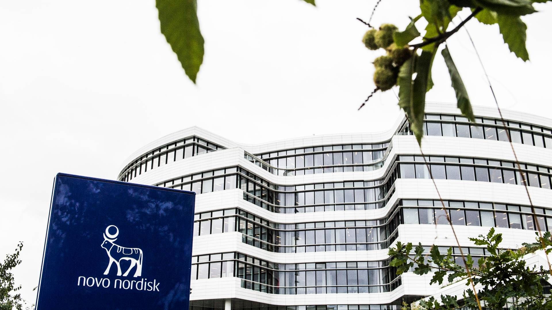 Novo Nordisk åbner forskningscenter i London for kunstig intelligens til udvikling af nye lægemidler | Foto: Tidsvilde Stine/Ritzau Scanpix