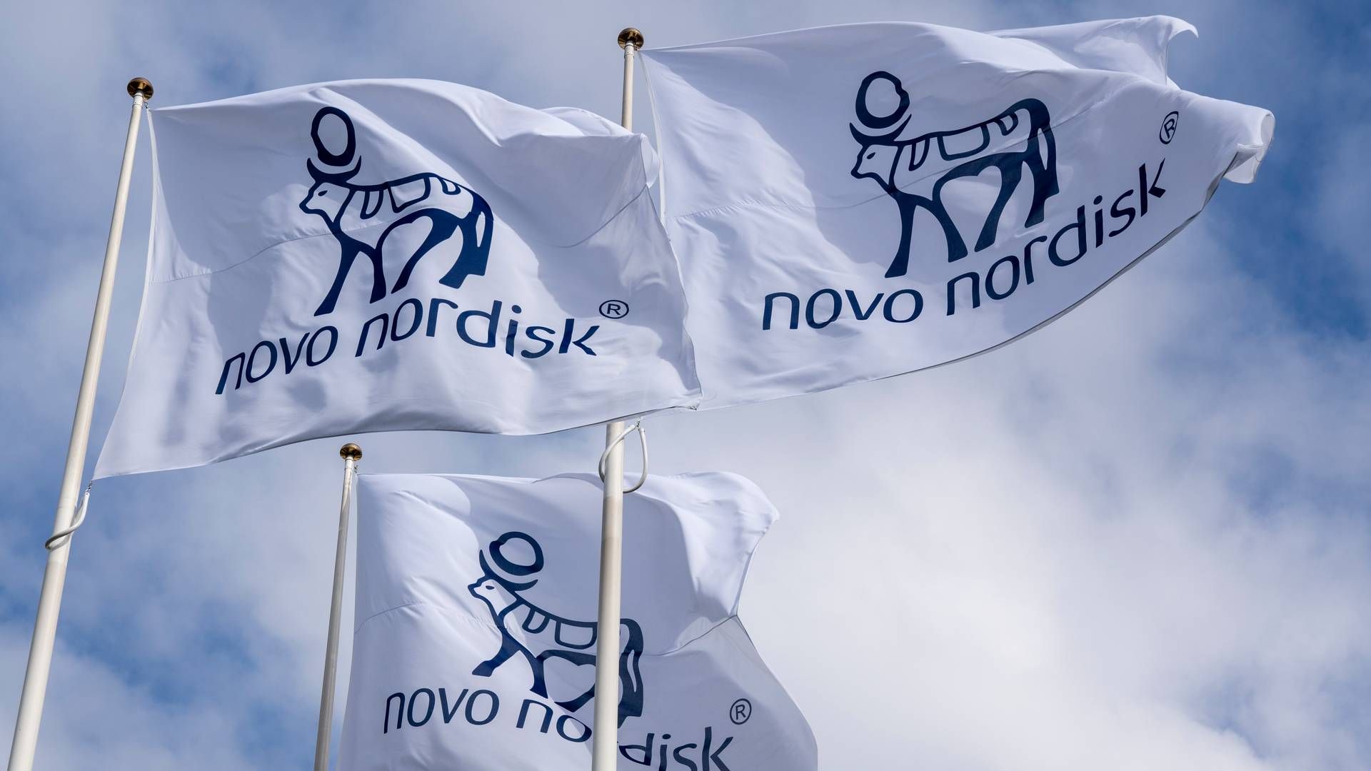 Foto: Novo Nordisk / Pr