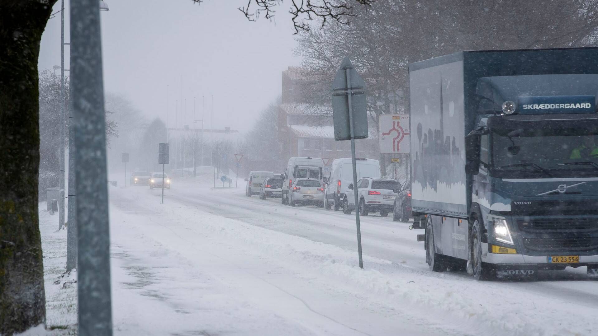 Manglende krav om vinterdæk spiller ofte en rolle i trafikale problemer, når sneen falder, mener speditør-boss. | Foto: Johnny Pedersen/Ritzau Scanpix