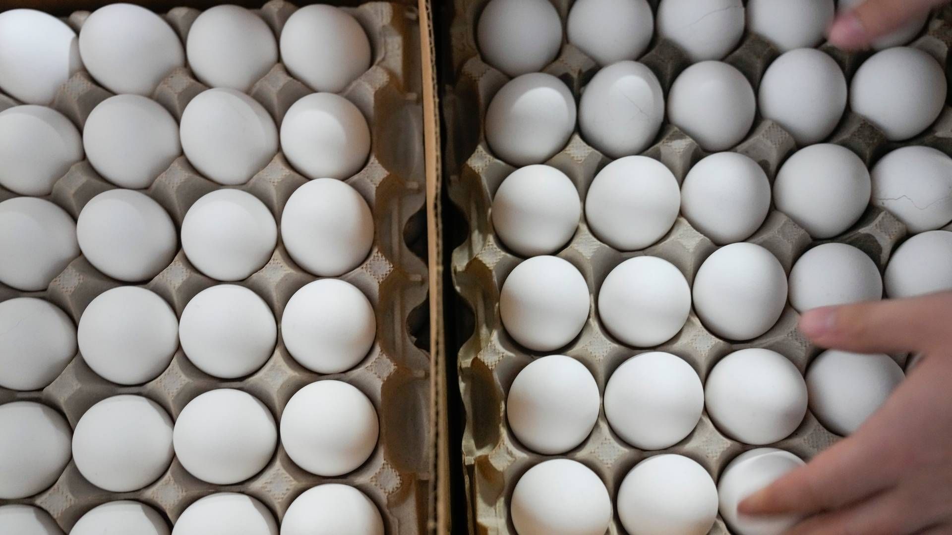 EGG: Fortsatt vil det være mindre egg i hyllene i norske dagligvarebutikker enn normalt. | Foto: Seth Wenig / AP