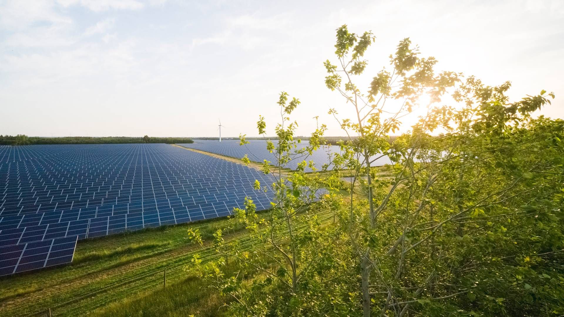 De to partnere vil hver især komme til at eje 50 pct. af de færdigbyggede solcelleparker. Better Energy vil stå for udvikling, opførelse og den tekniske drift af parkerne. | Foto: Better Energy