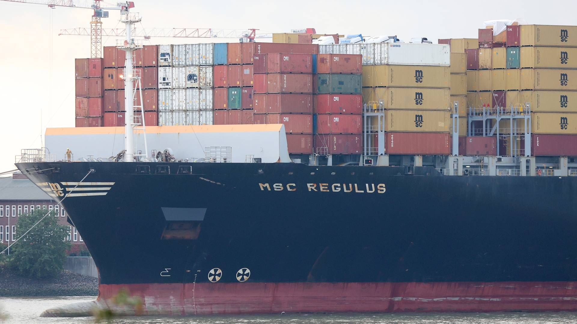 MSC har verdens største containerflåde. | Foto: Bodo Marks/AP/Ritzau Scanpix